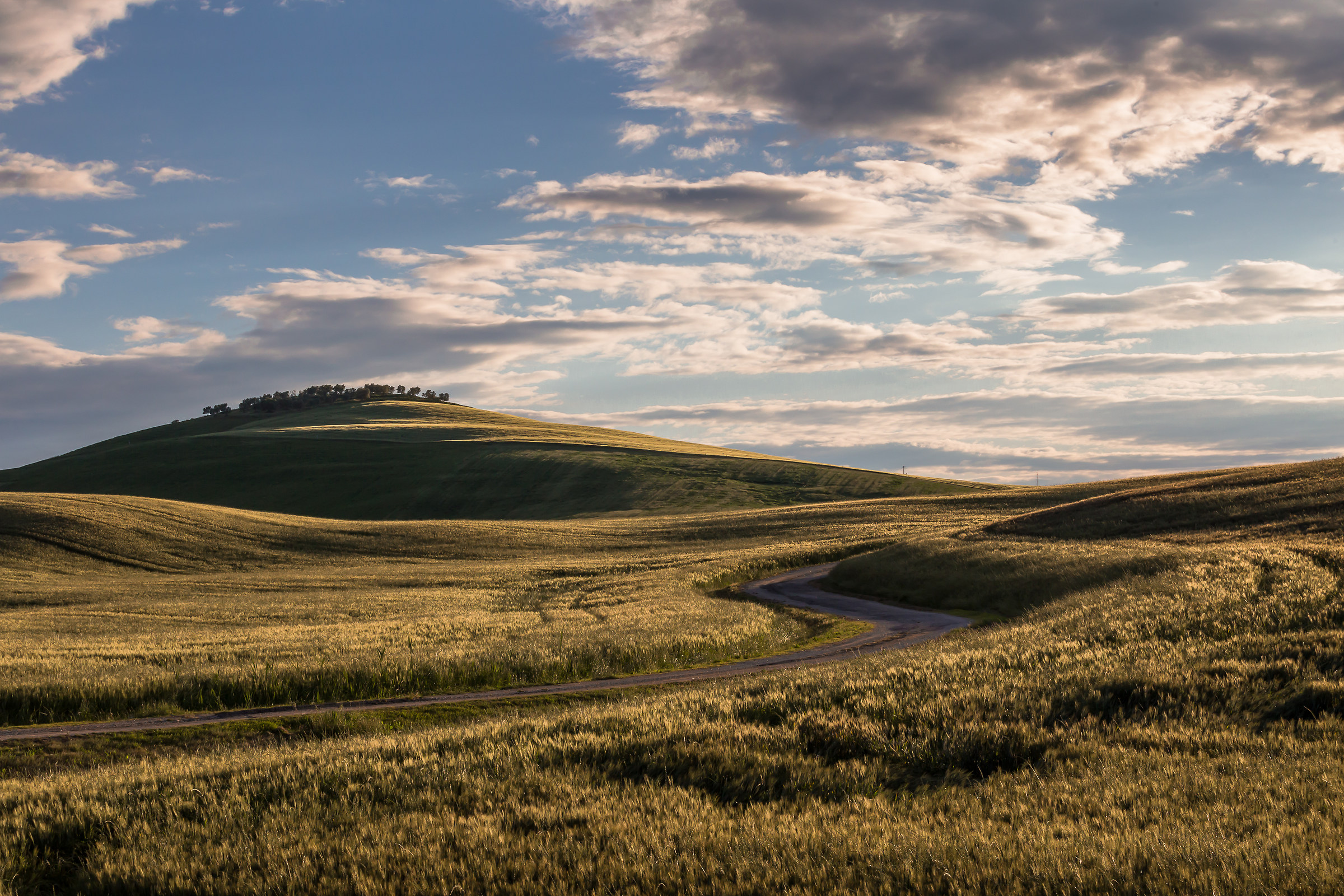Serpeggiante in Val d'Orcia