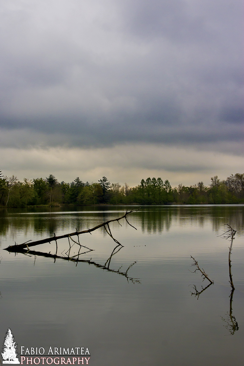 Laghetto del parco La mandria