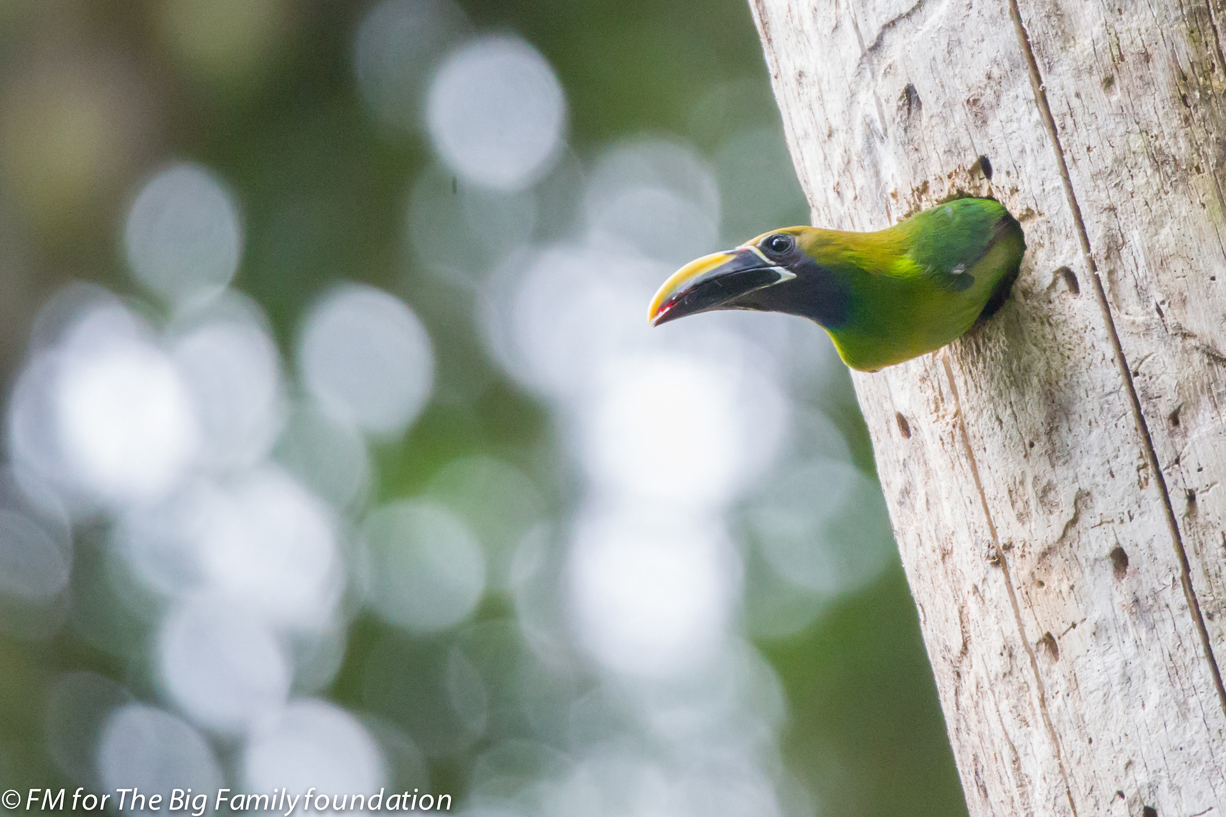 I do not remember so tight!