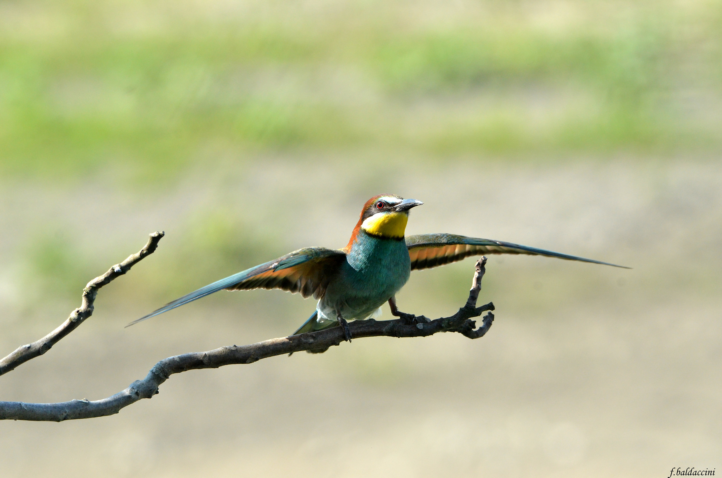 aereo pronto al decollo