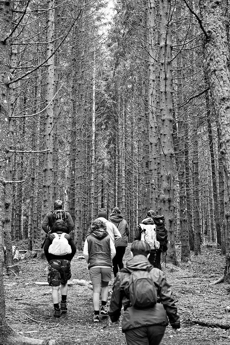 Walk on Monte Bondone