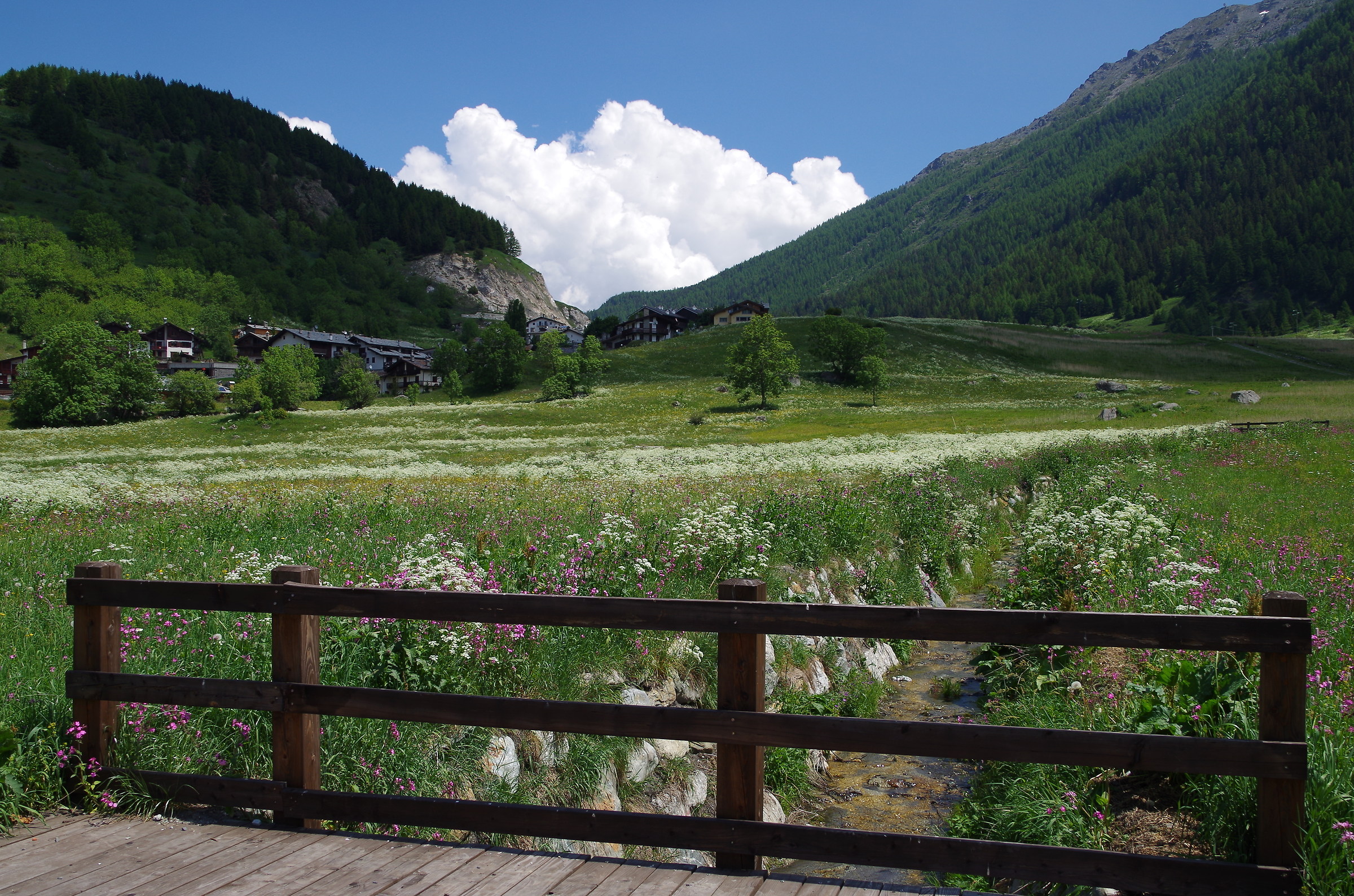 landscape in La Thuile (ao)