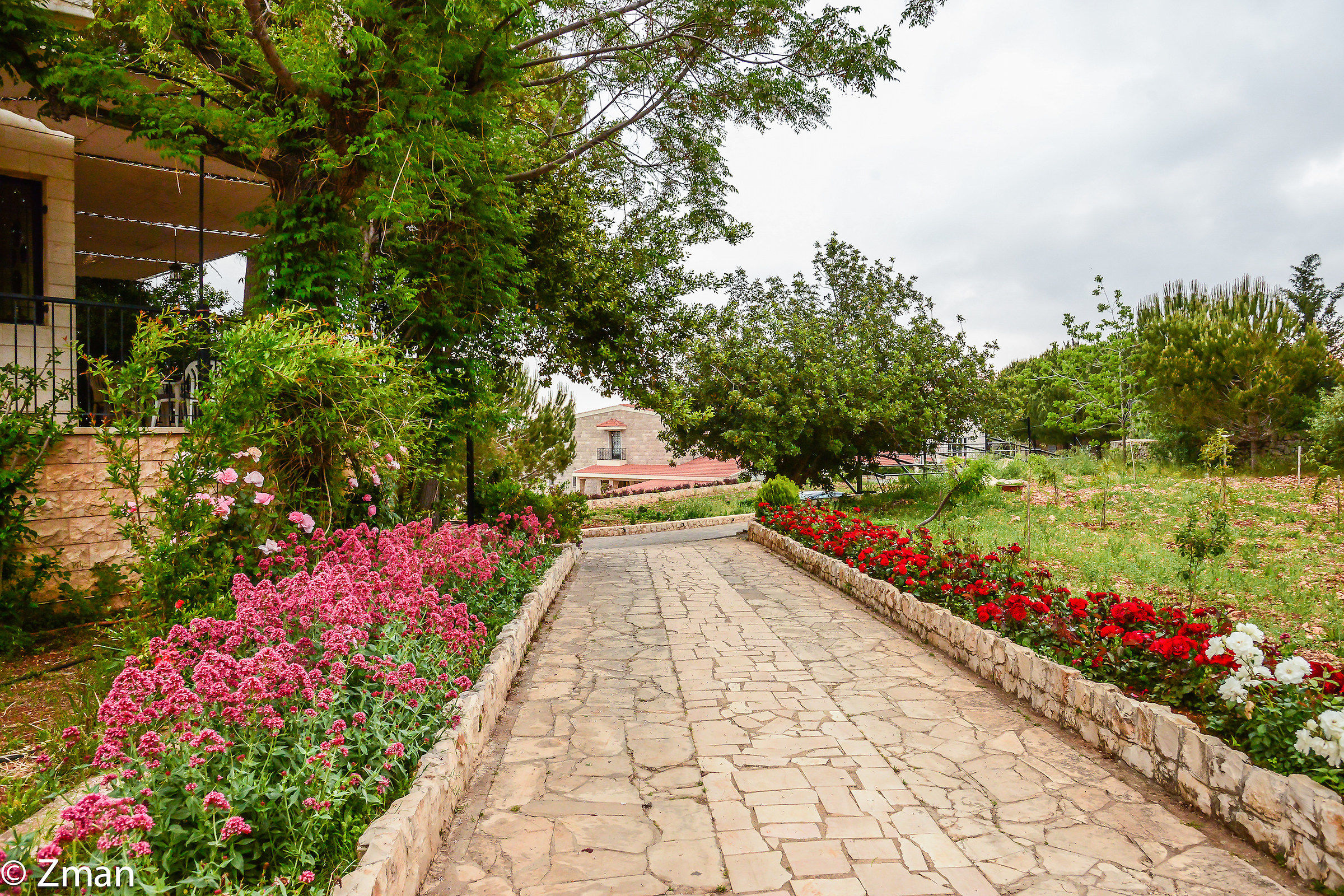 The Road to The Villa