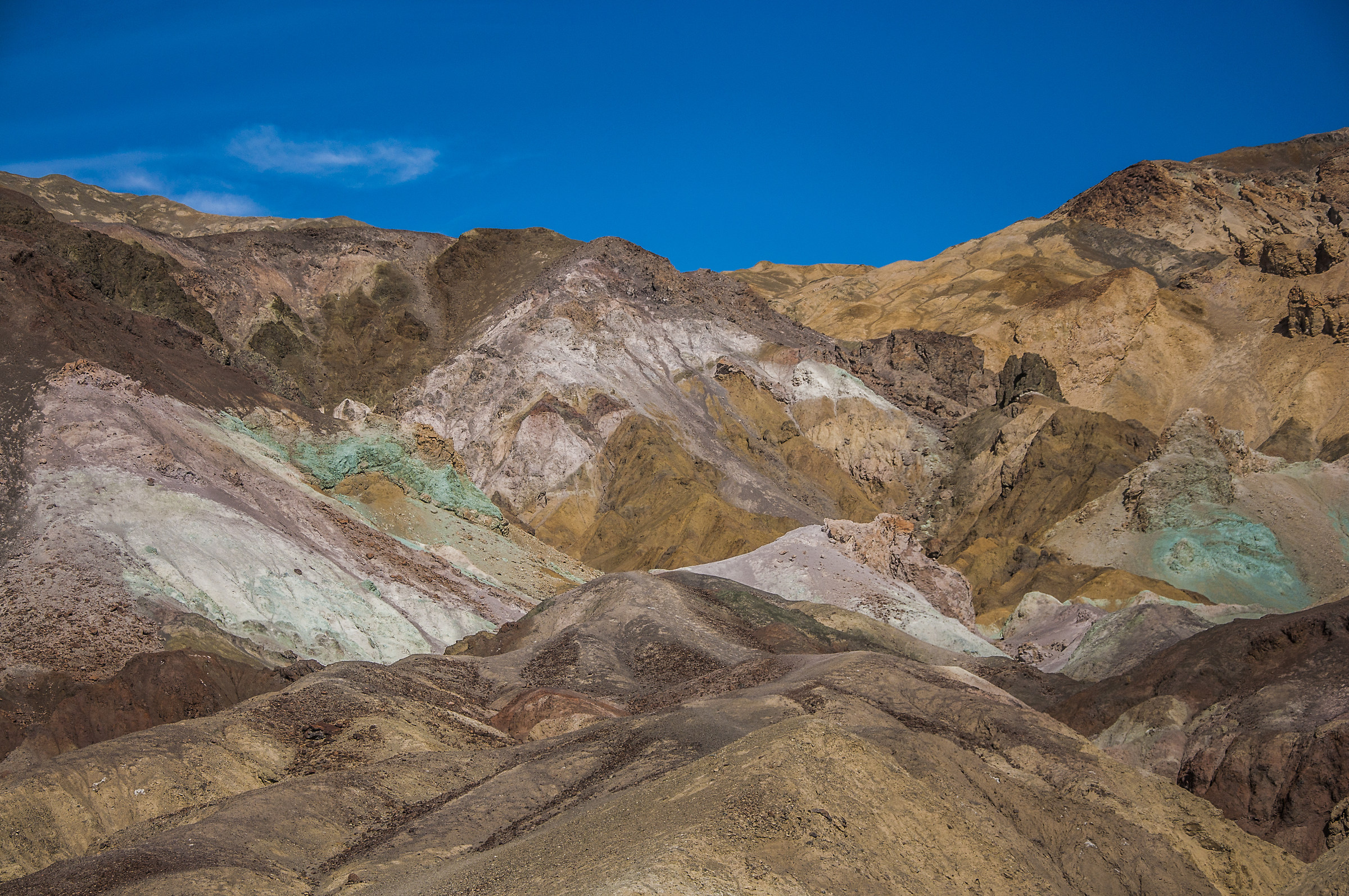 Tavolozza del pittore