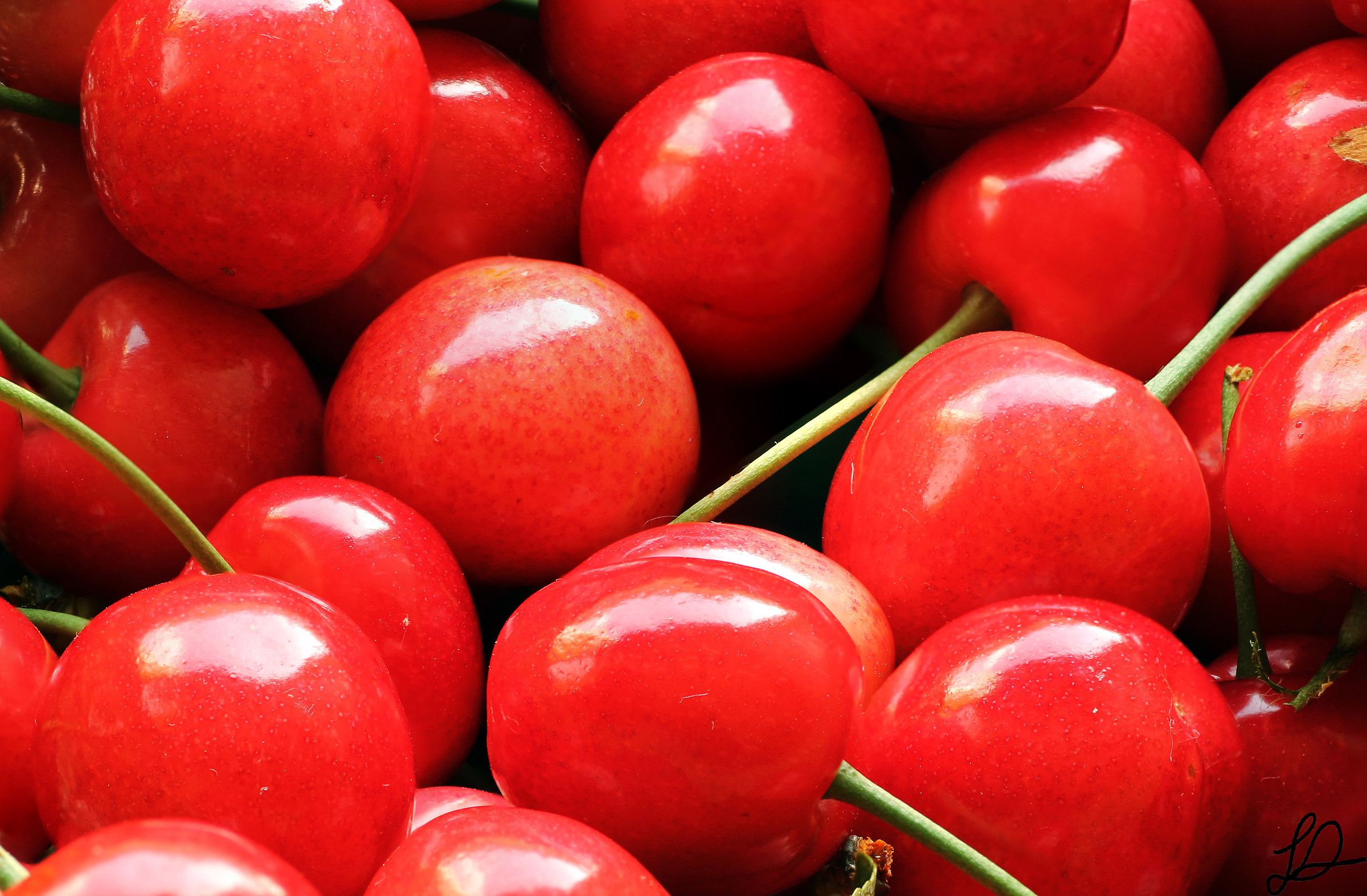 Satisfaction from the garden