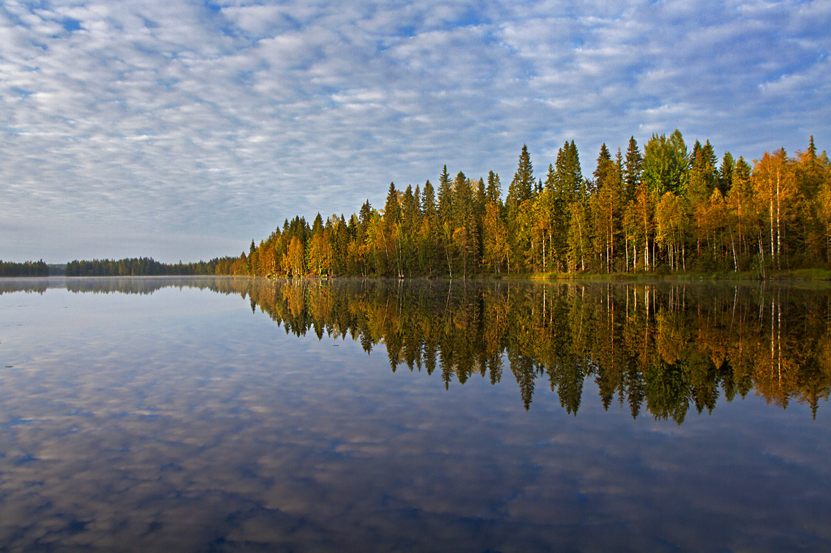 Finnish reflections