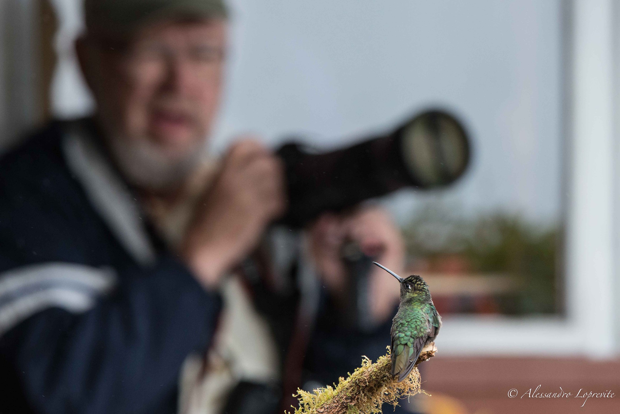 Do you like to win easy !!!!