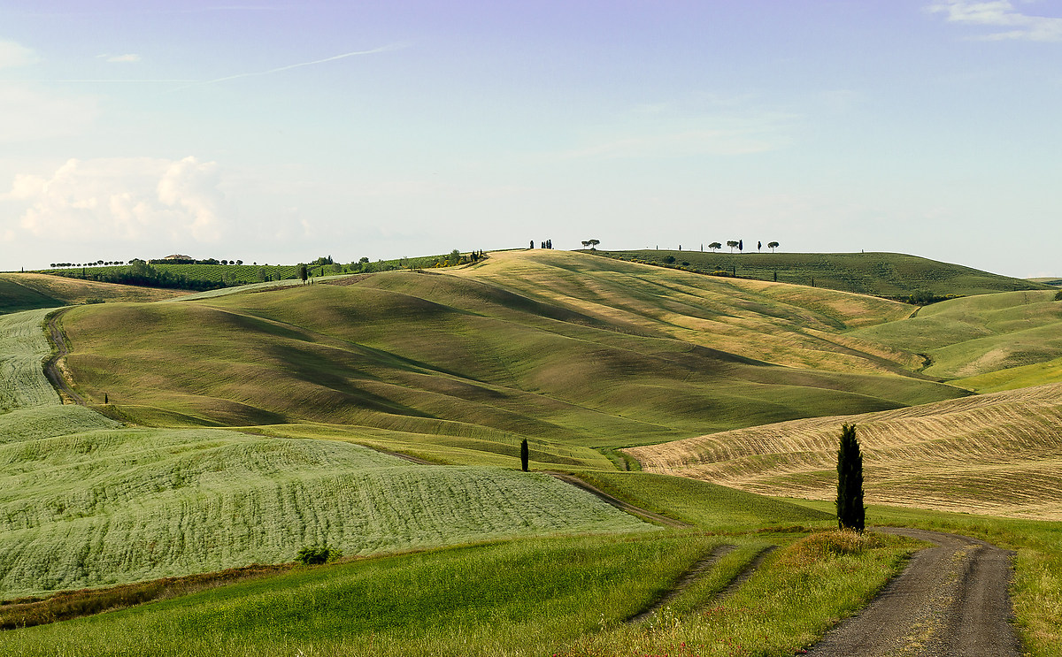 Immersed in the colors of the Val d'Orcia!