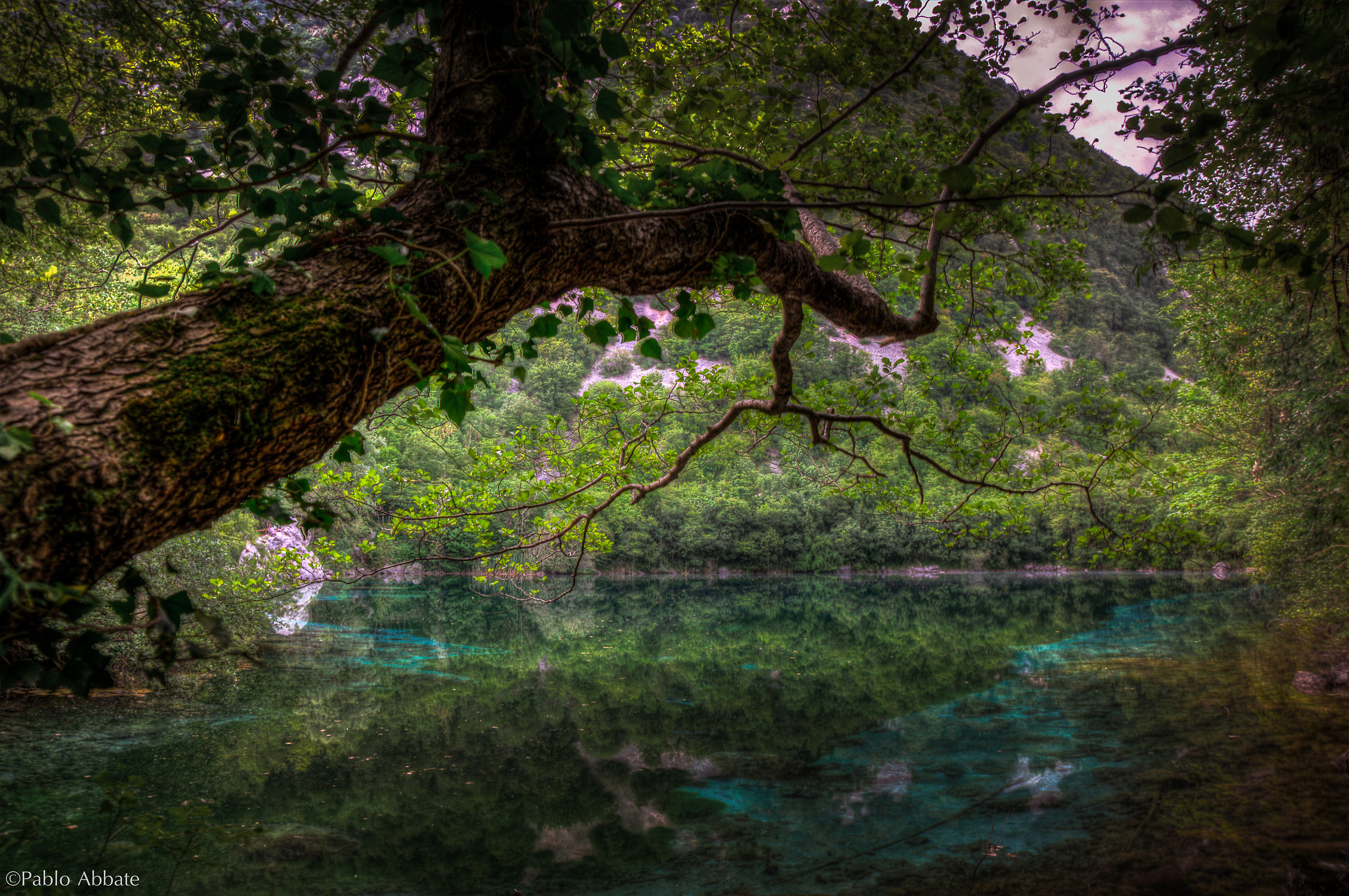 Natura nel Lago di Cornino (Friuli)