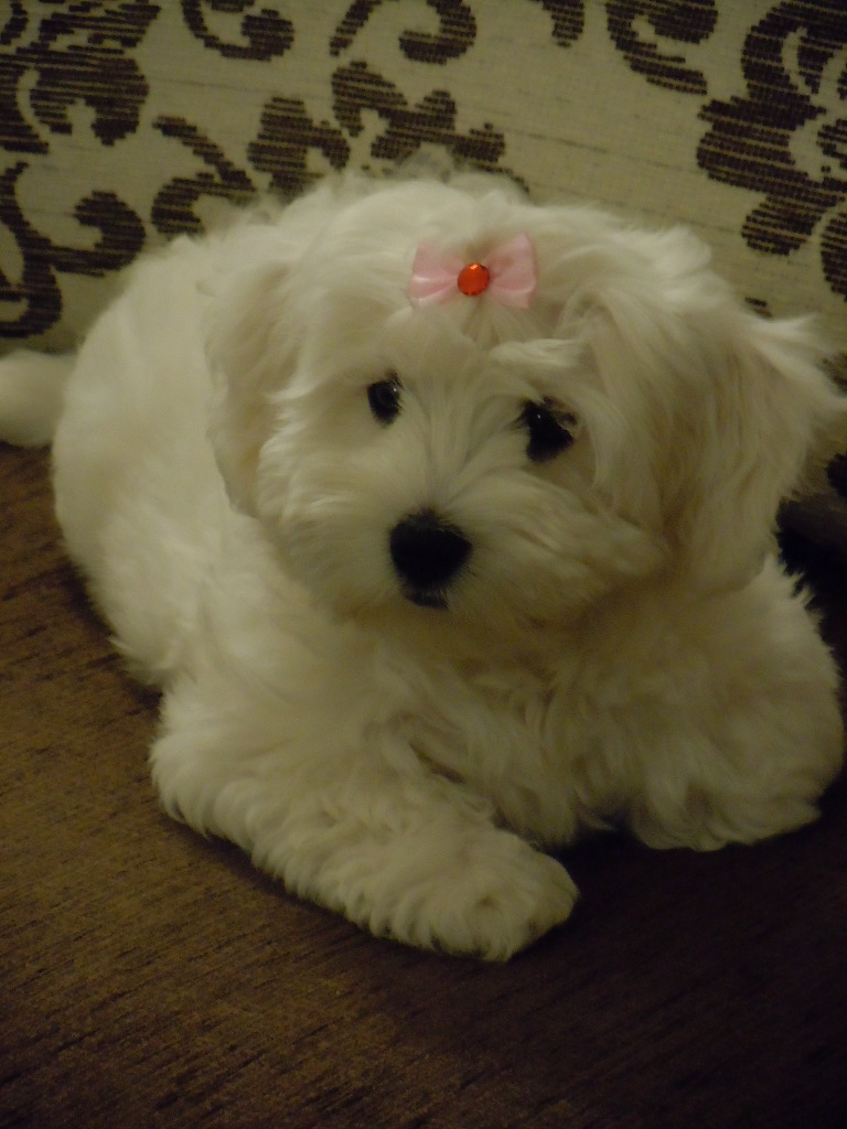 and also very elegant