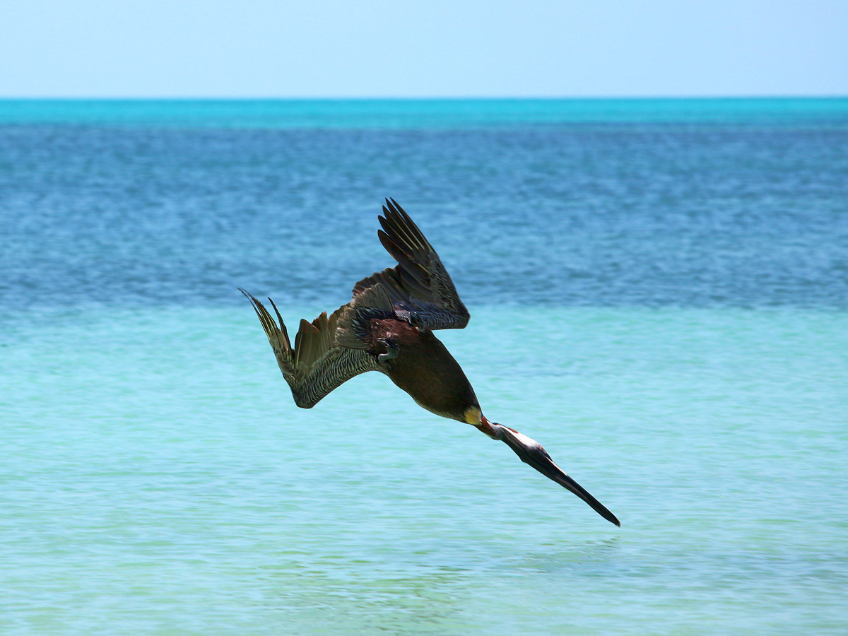 it's hot! ... almost ... almost