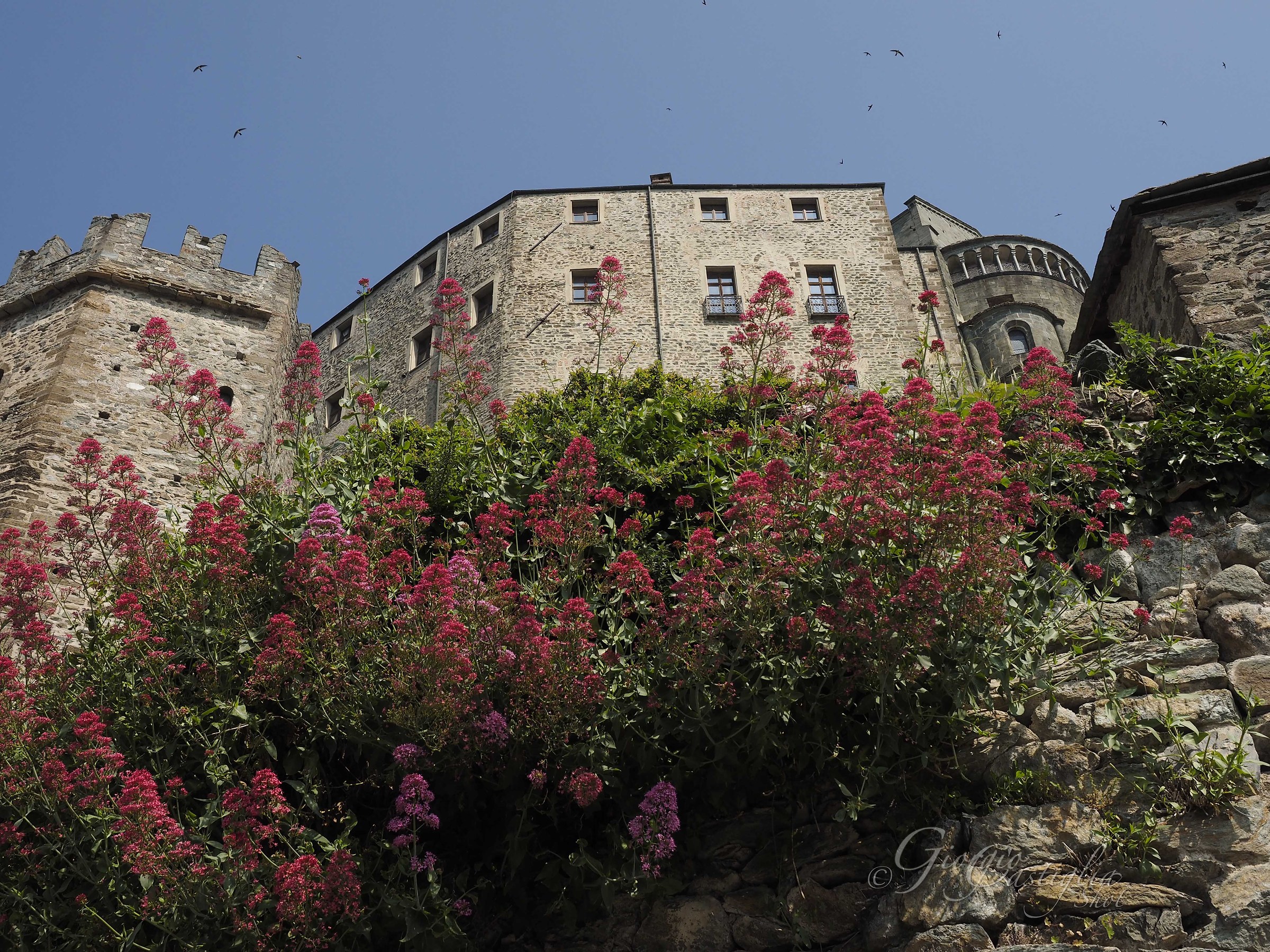 Sagra of St. Michael (To)