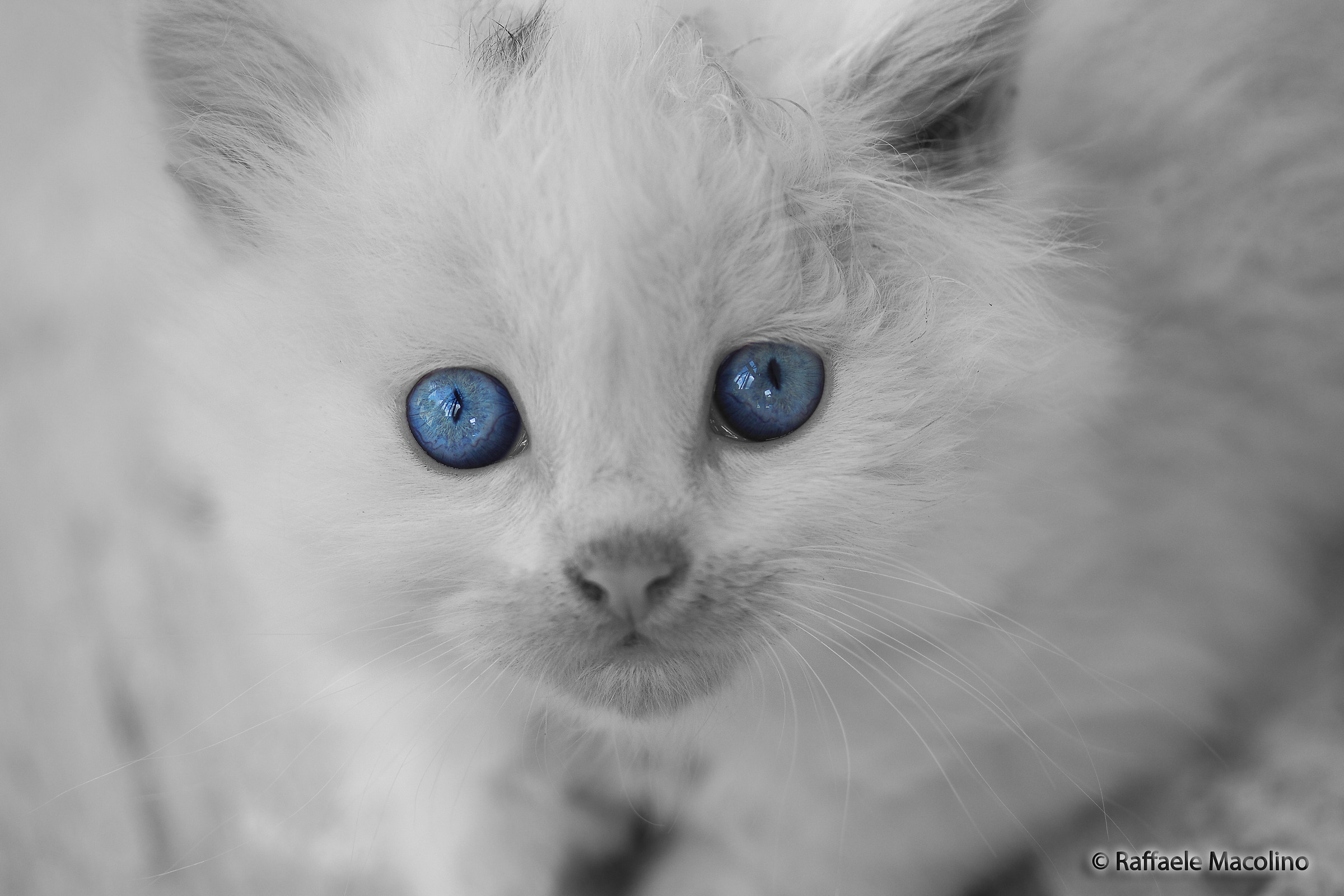 Blue eyes