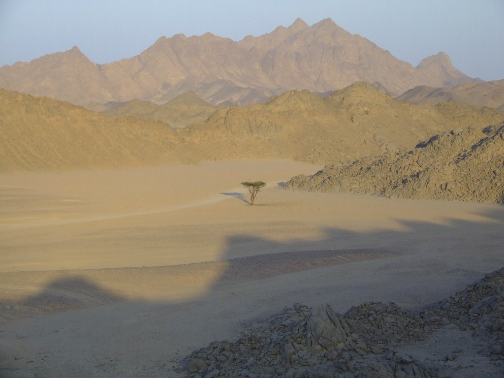 Solitude and strength