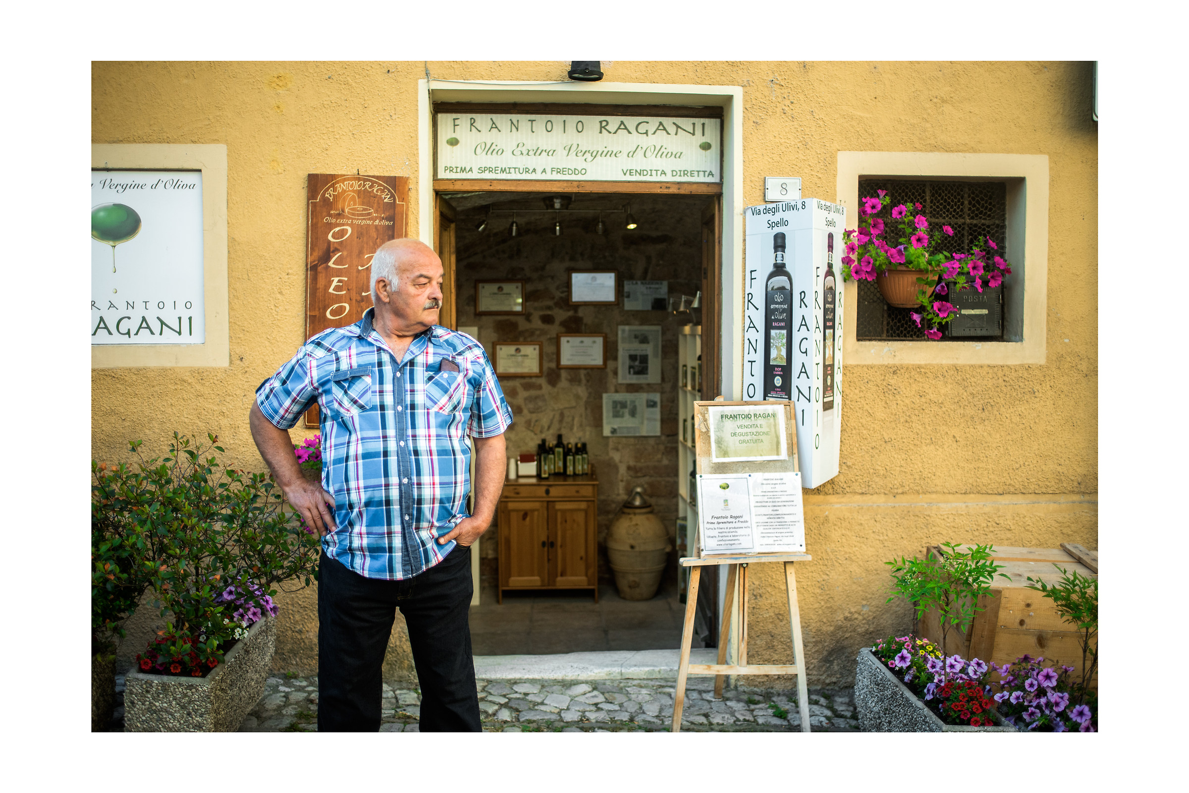 From Frantoio Ragani