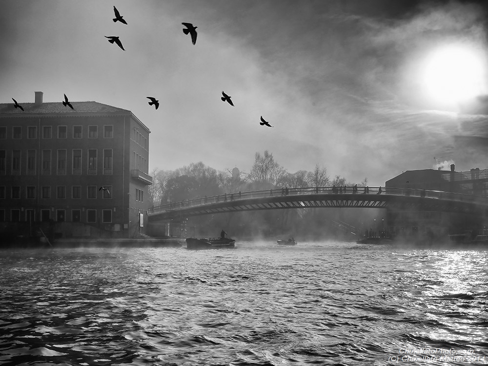 Venice, Bridge of the Constitution