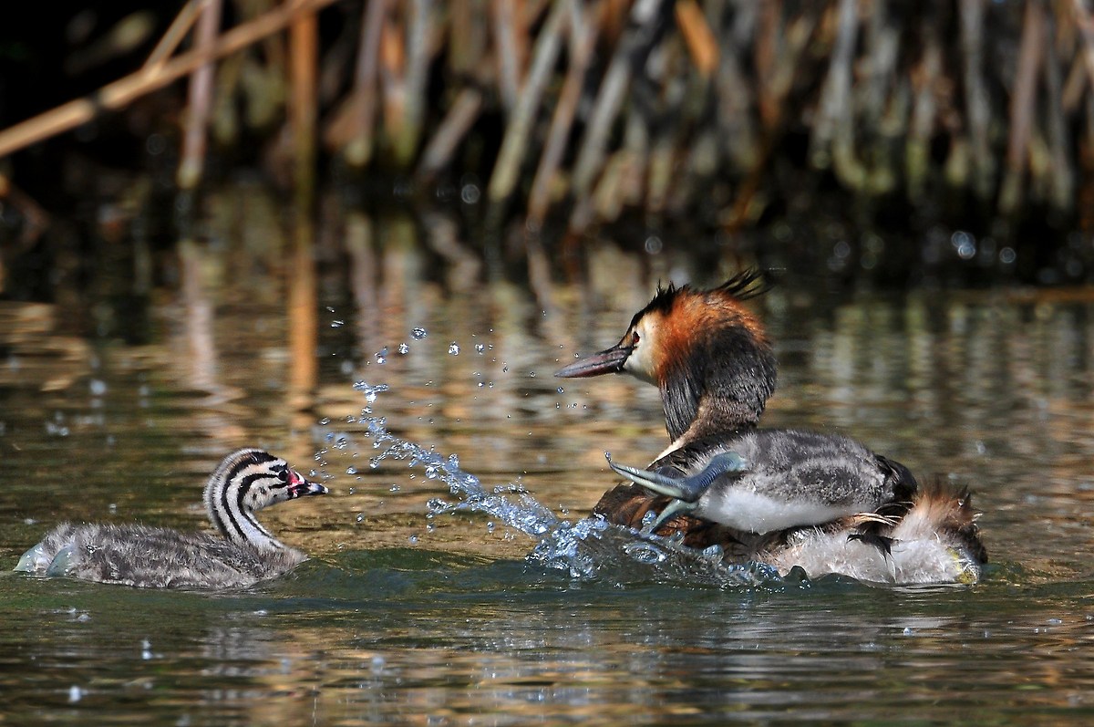 There is only one place!