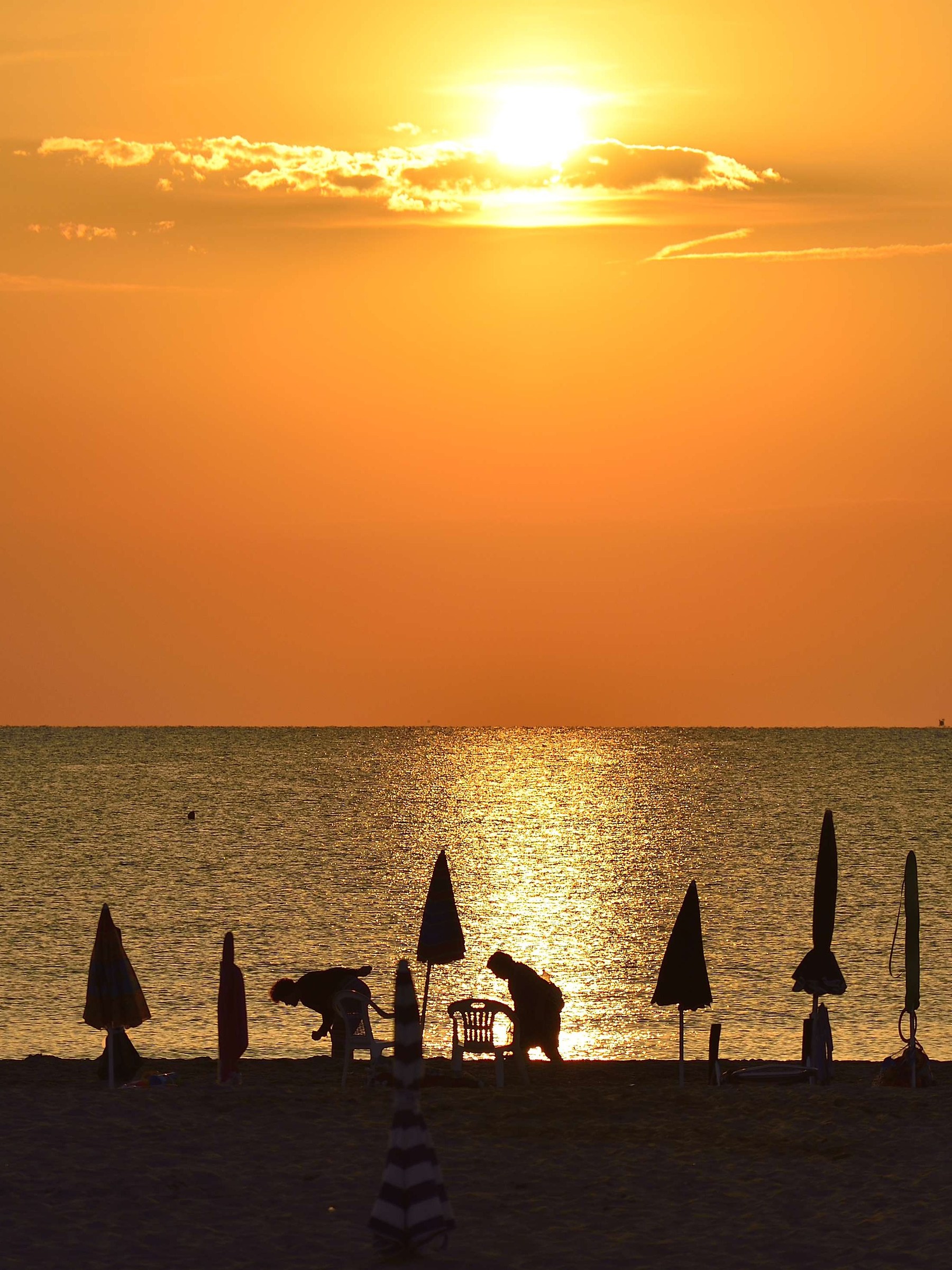 The gold of the morning