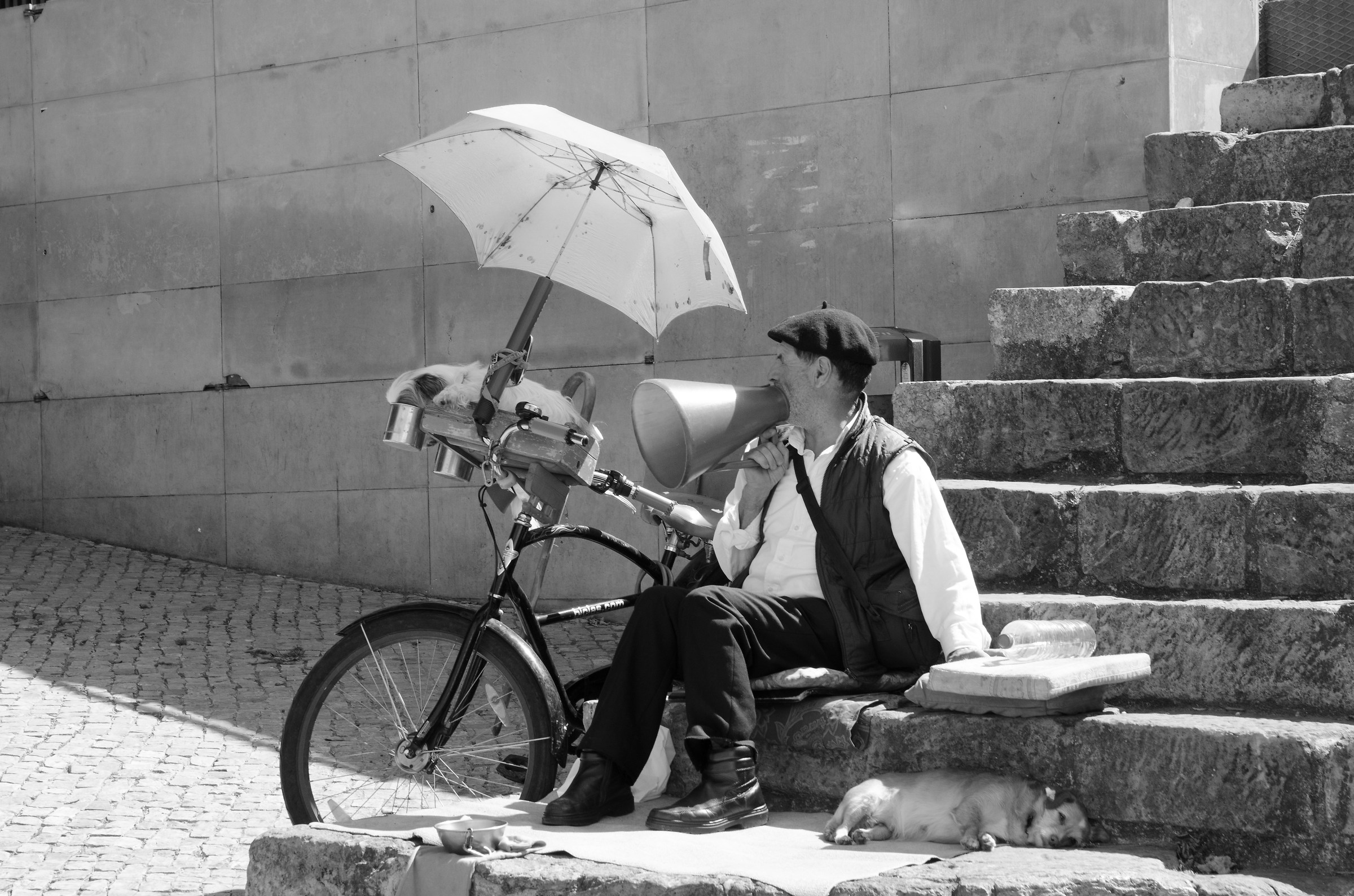 Venite siori e siori !