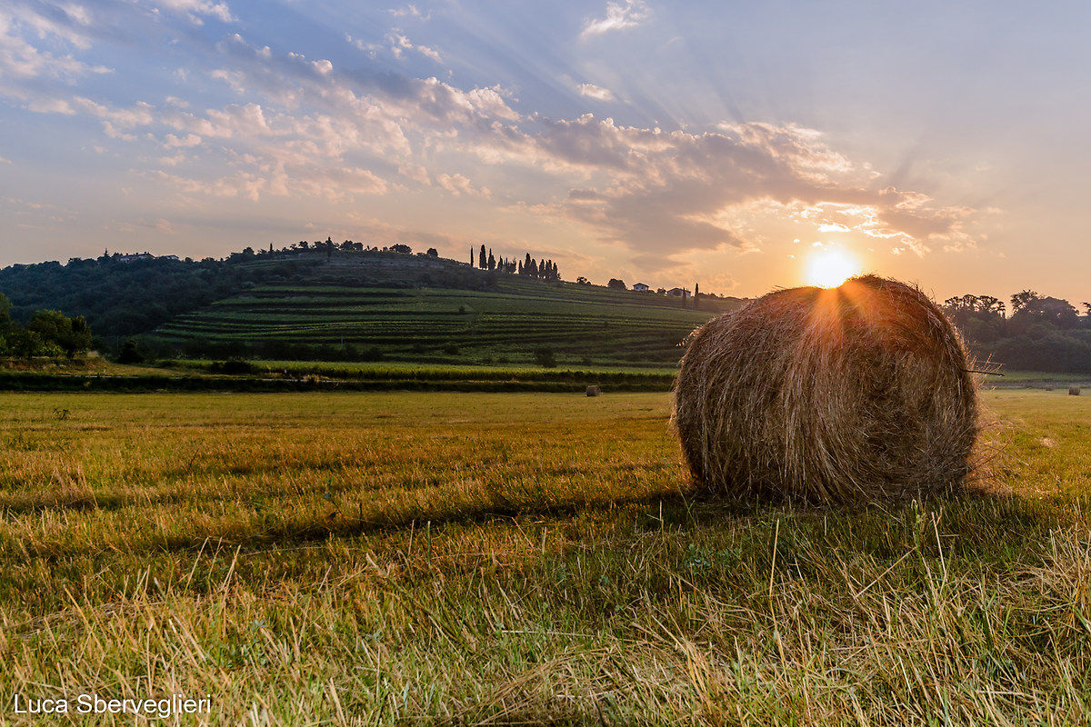 Sole e fieno