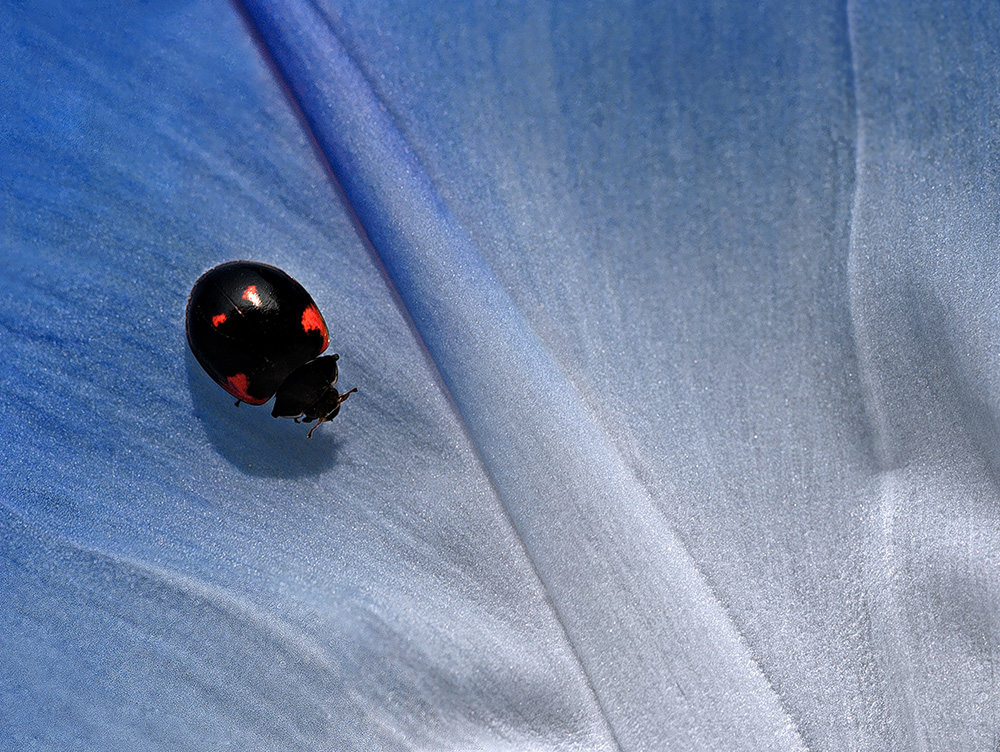 Sssst ... dorme ancora