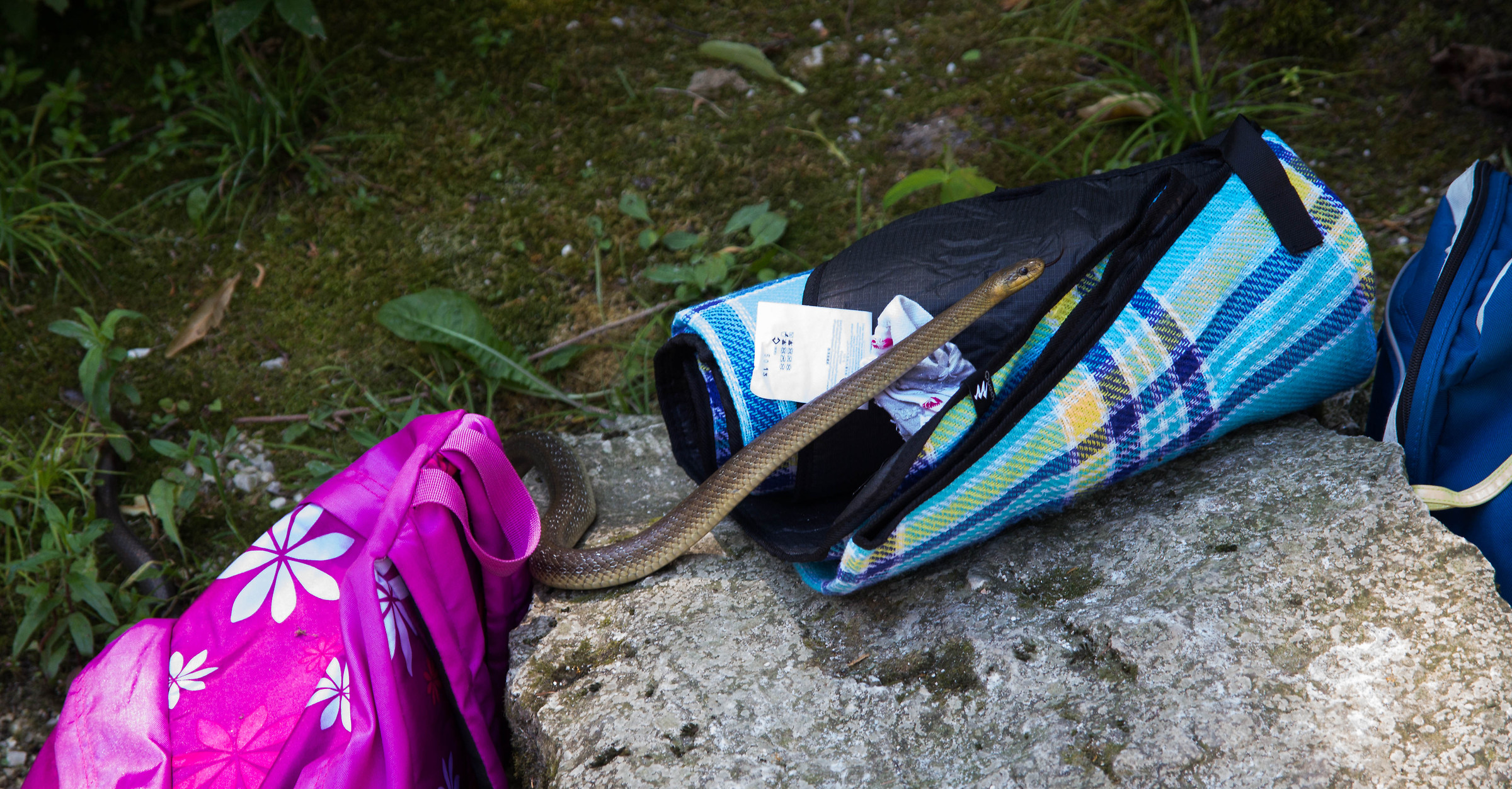 On the beach of Oliero