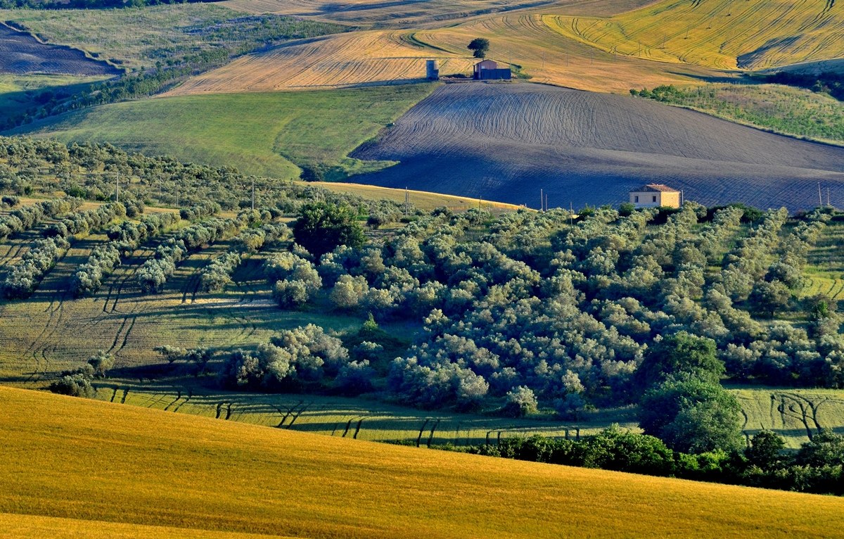 Lo Sguardo più in Là