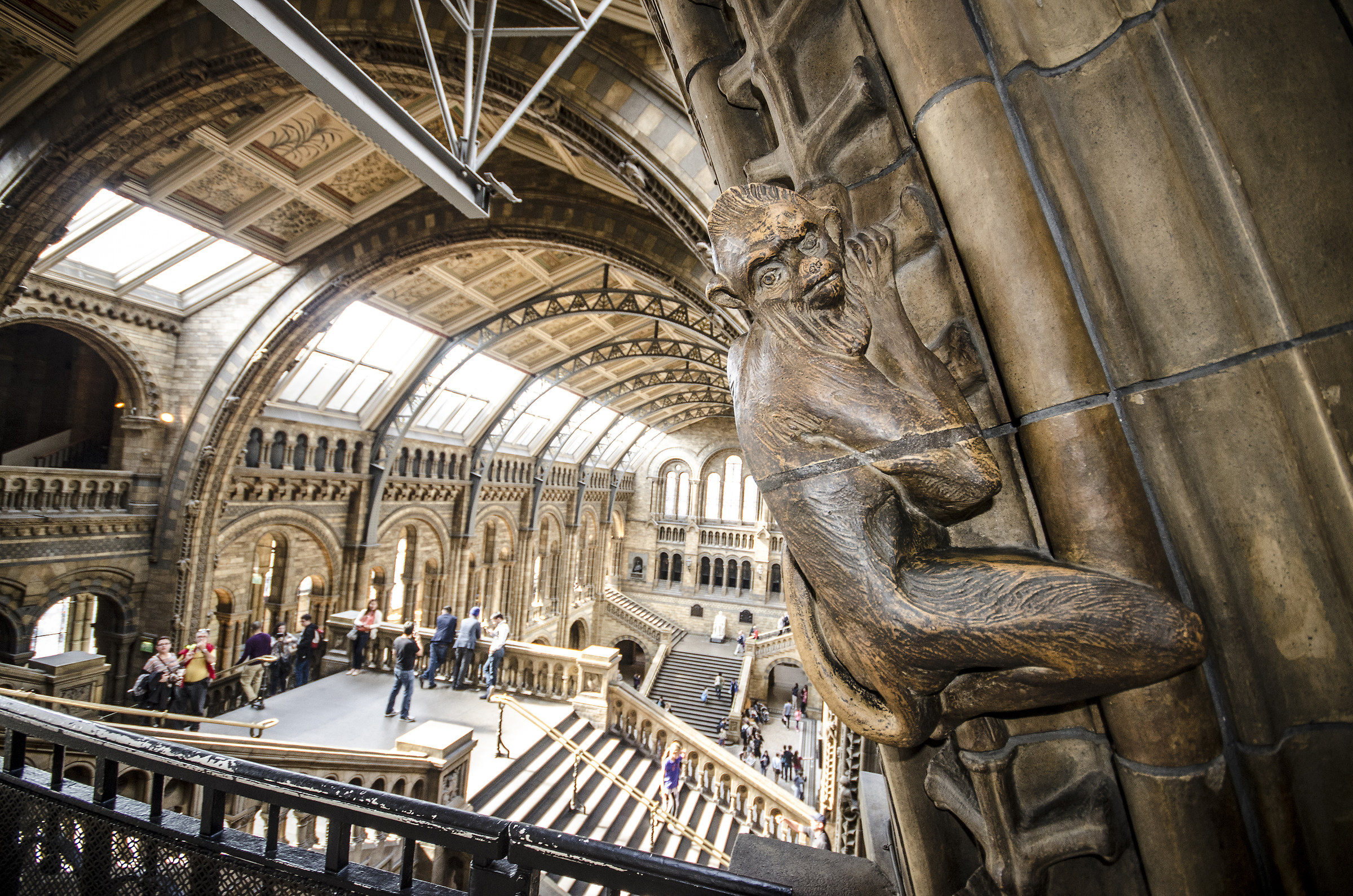 natural history museum 2