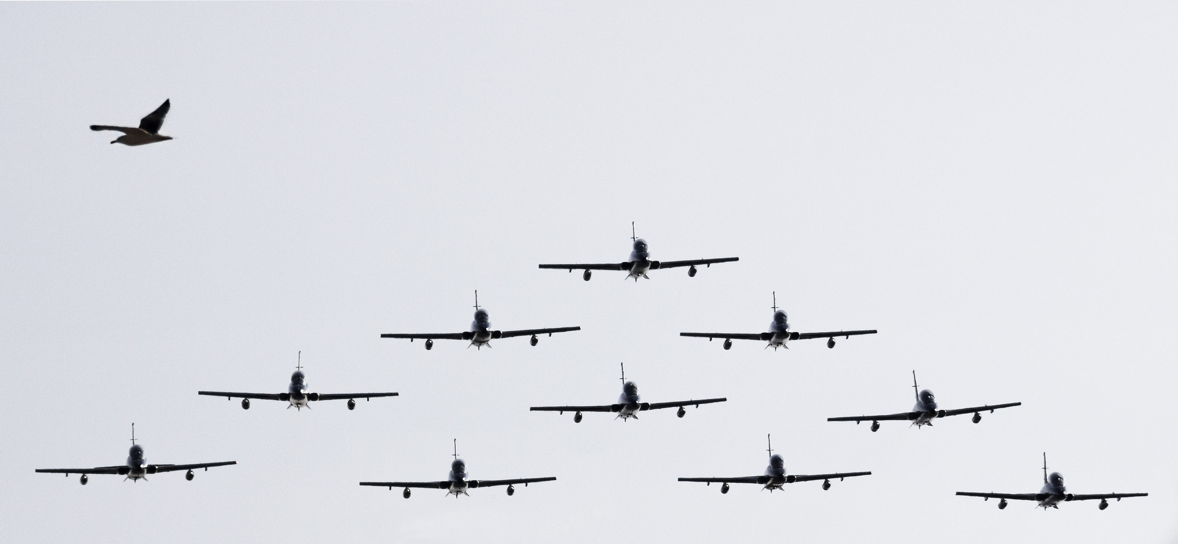 Inseguendo l'undicesima Freccia