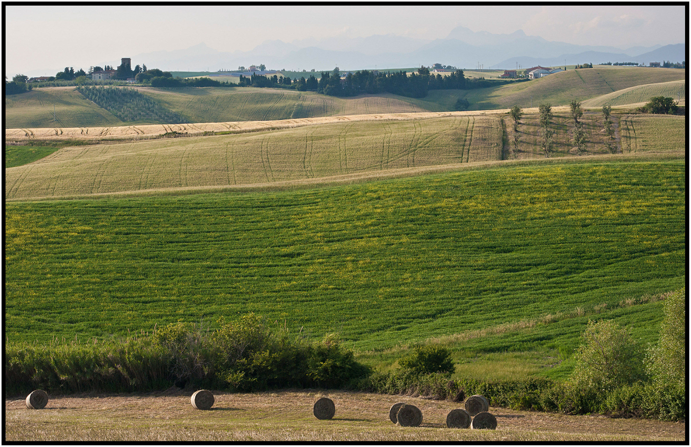 Colline di Santa Luce (pi)