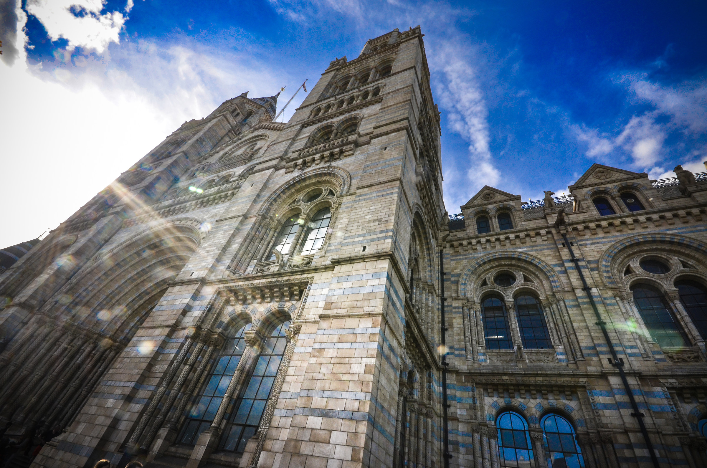 natural history museum 3