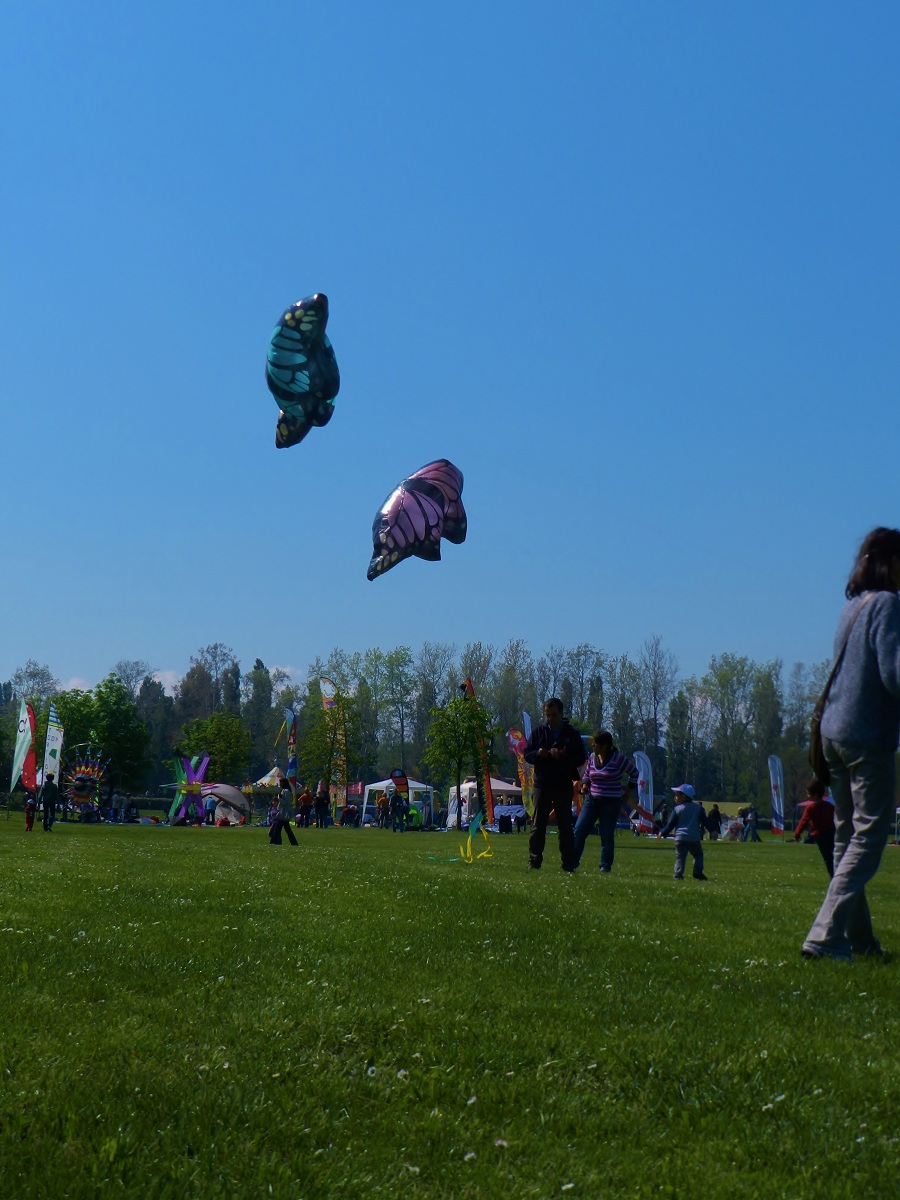 festival aquiloni visto dai bimbi