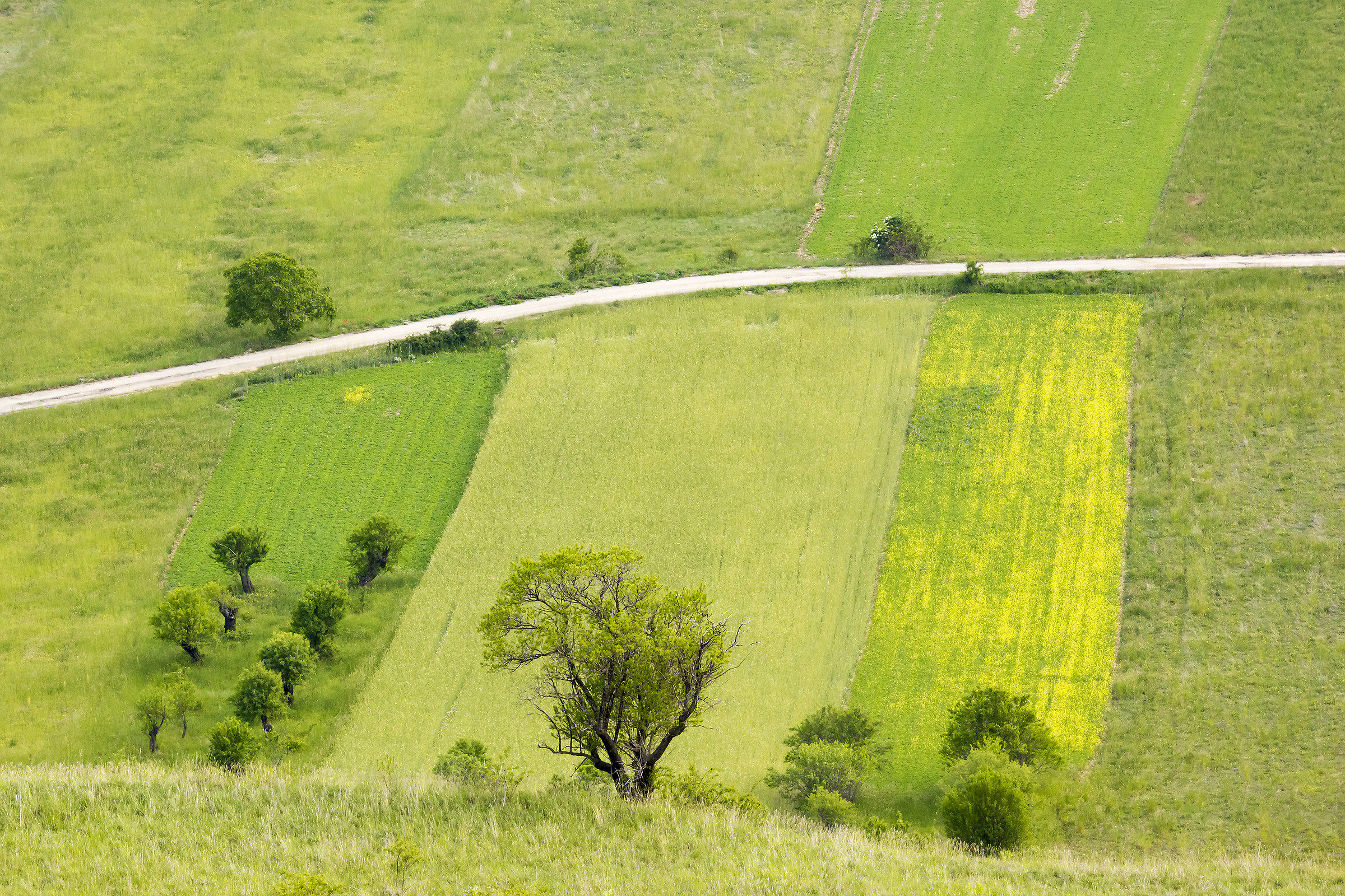 No.... non è Castelluccio di Norcia ma....