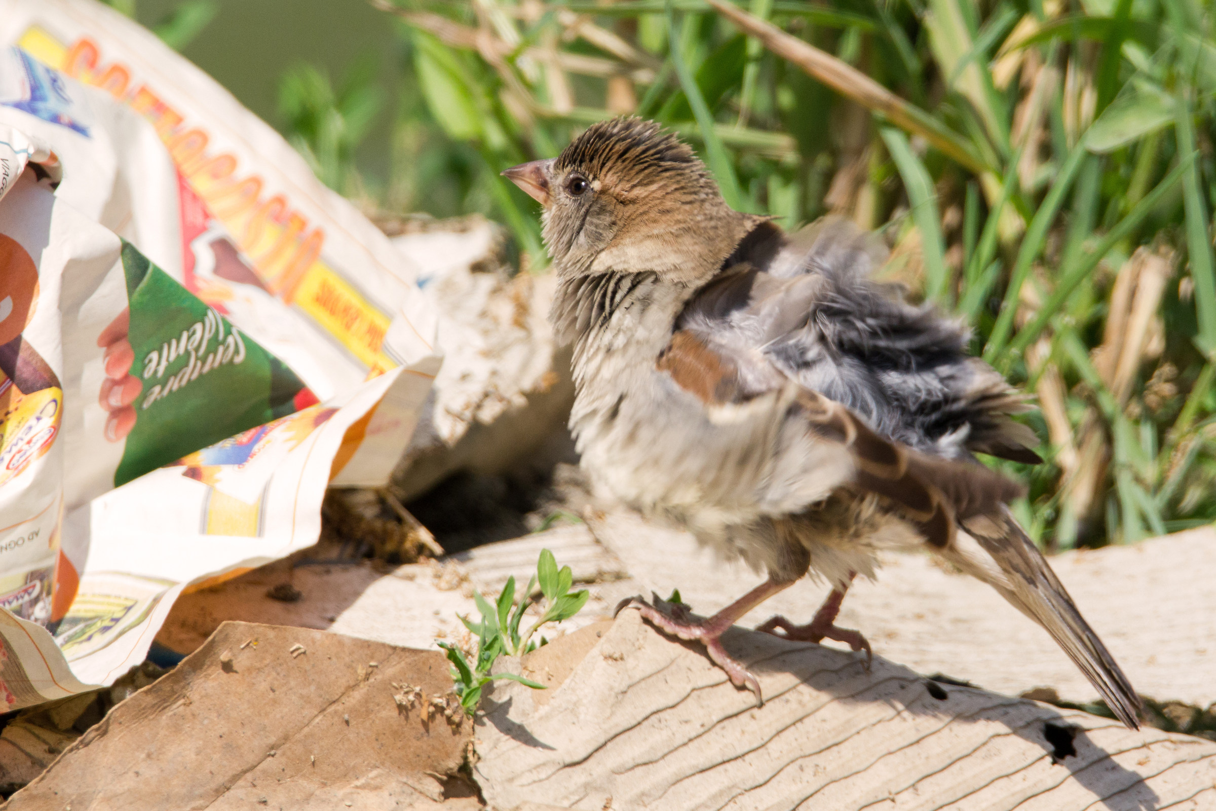 That prices thrilling