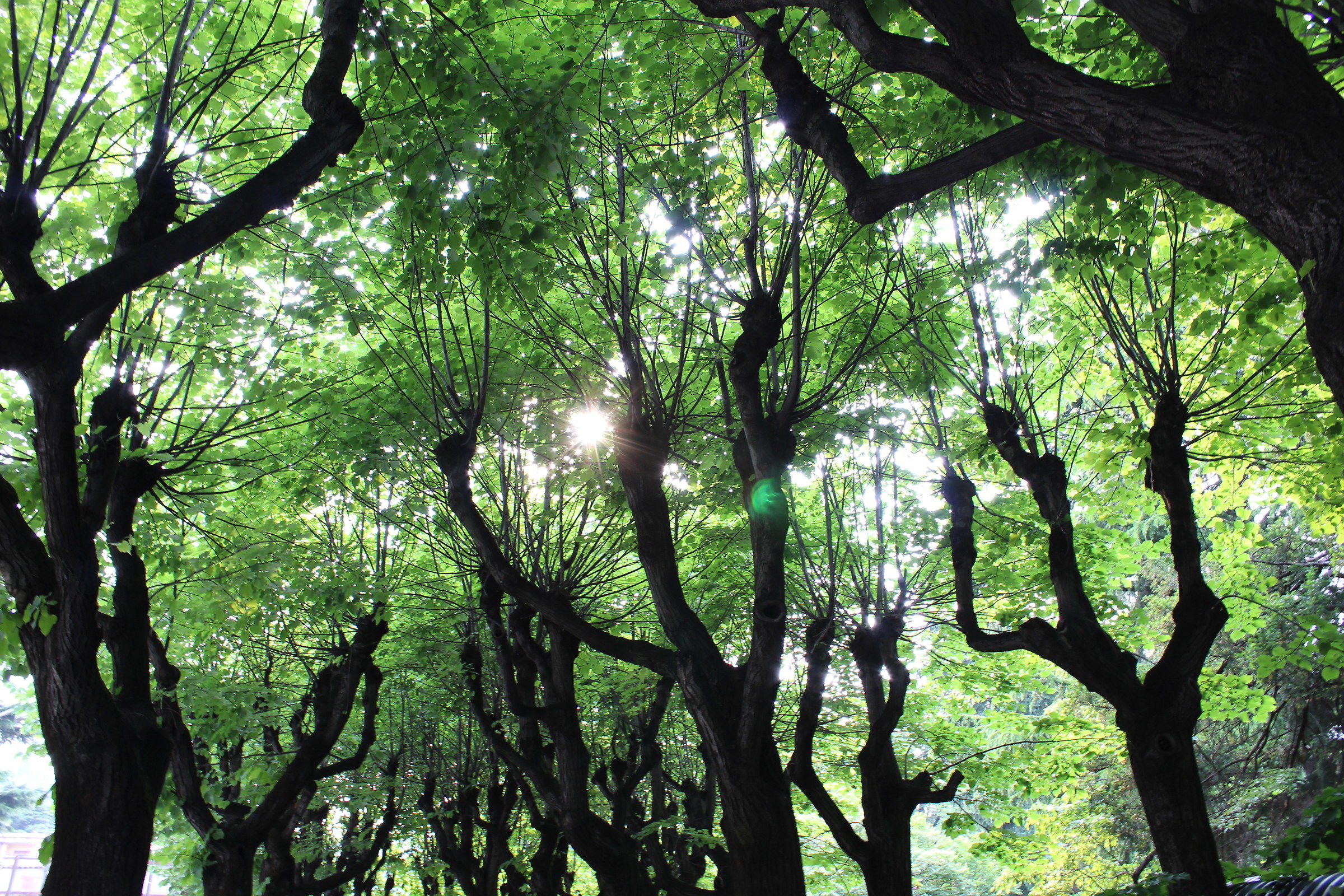 Una luce tutta da scoprire