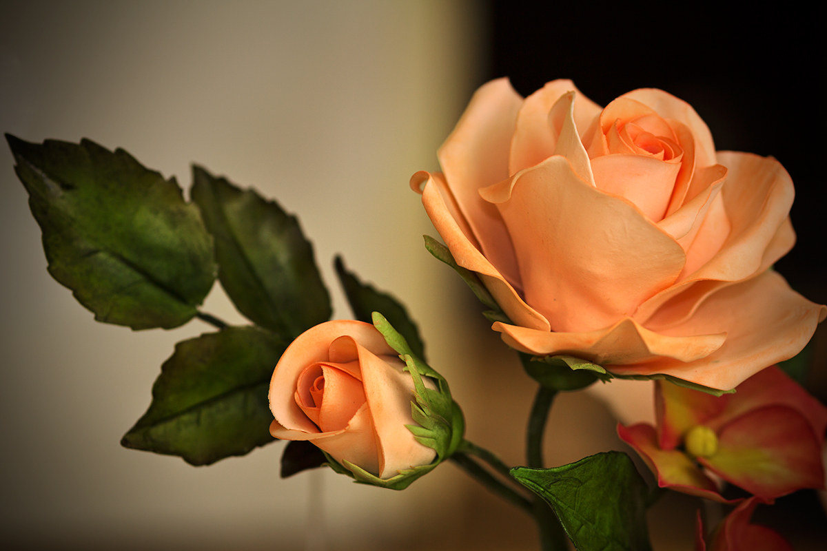 Rose in pasta di zucchero