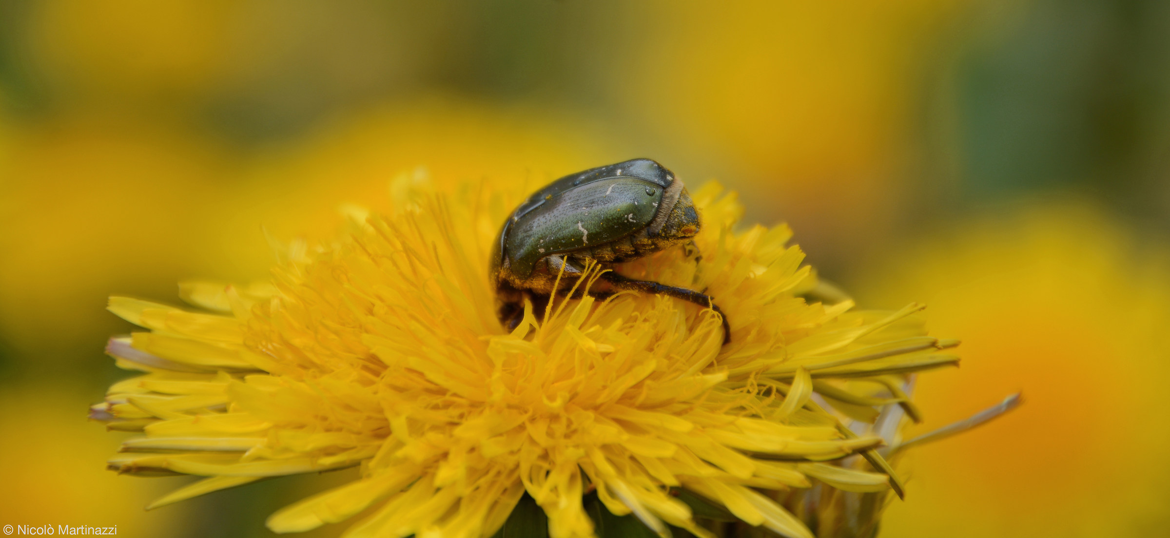 Incontri particolari