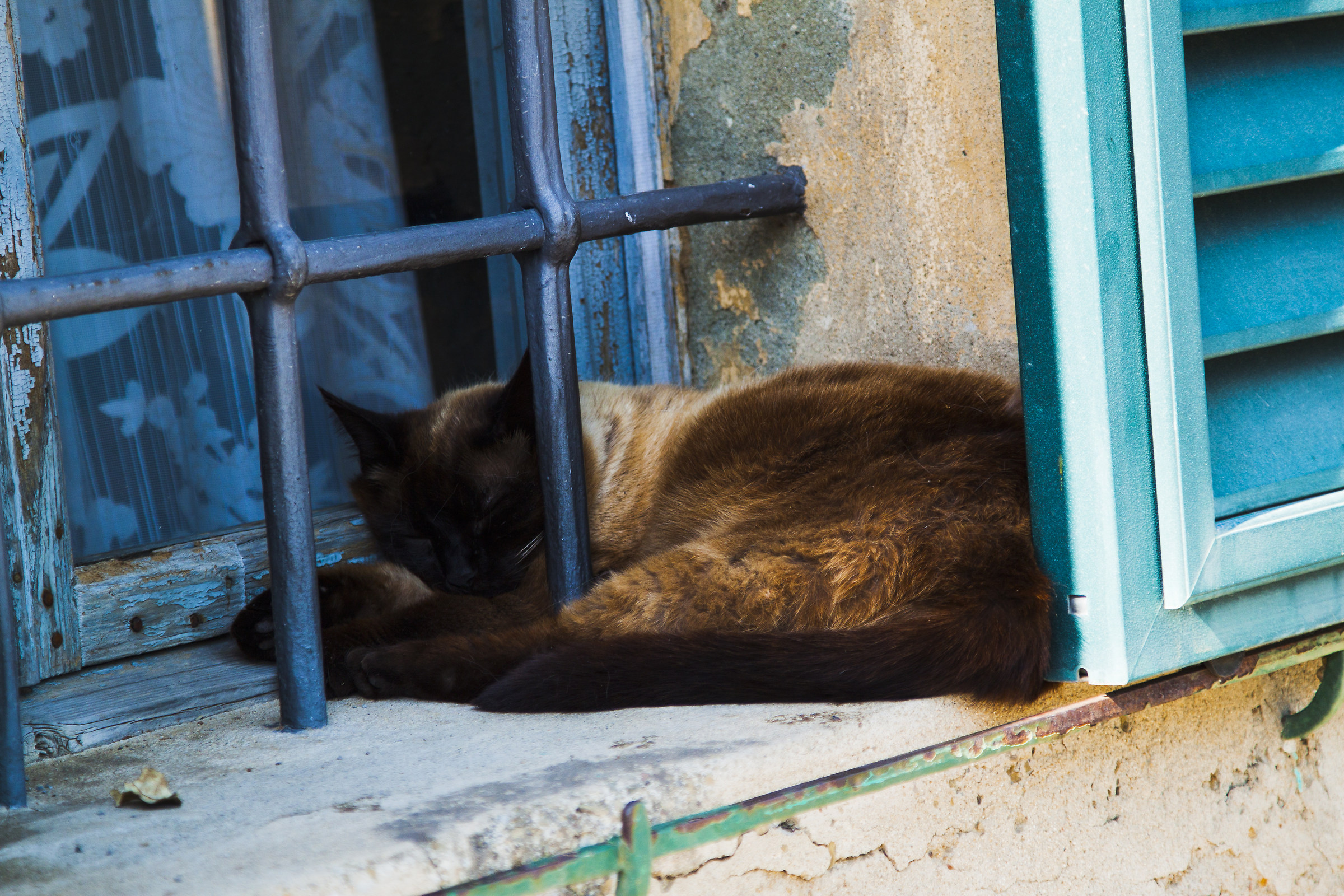 Riposino pomeridiano