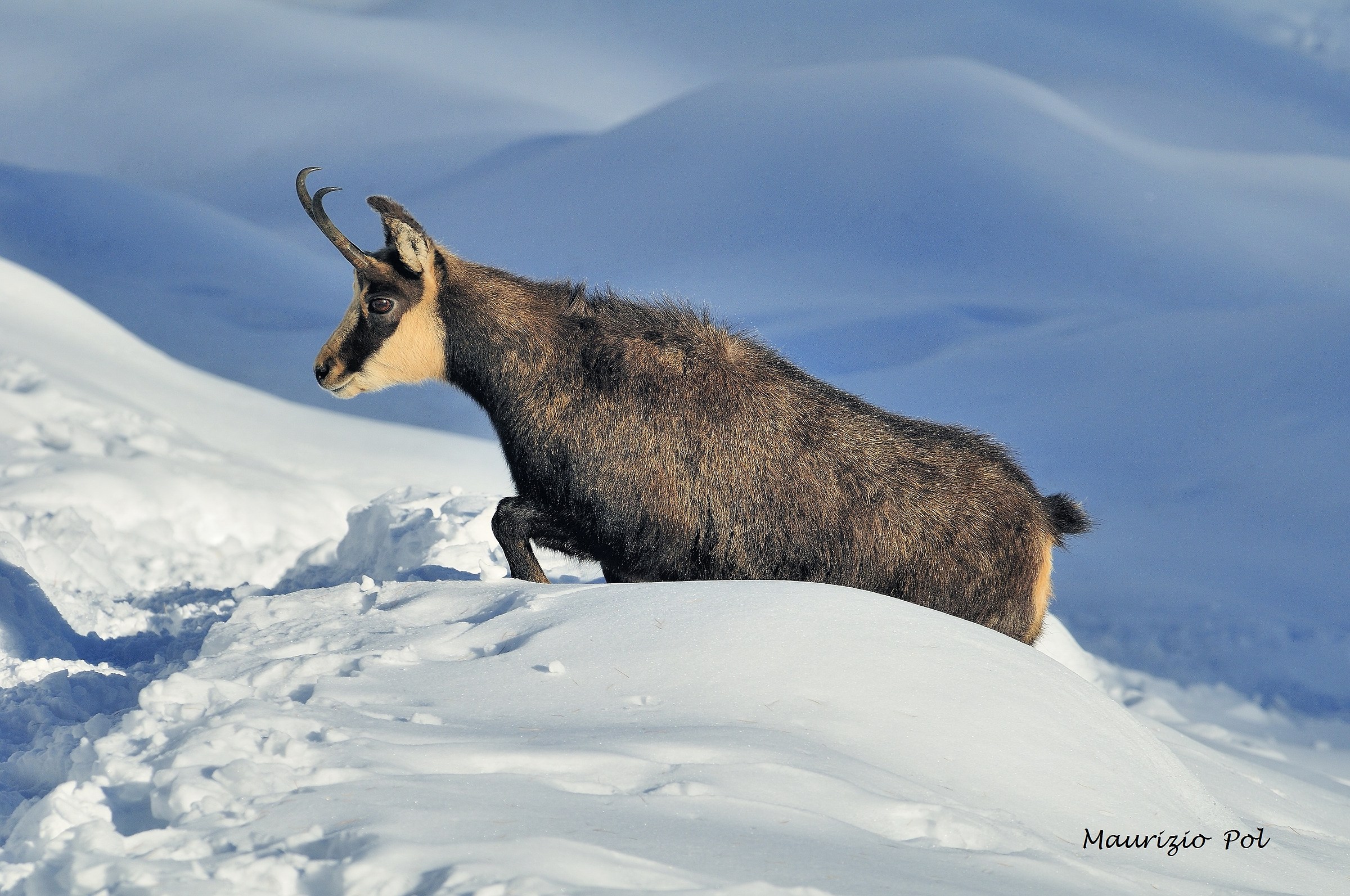 sunset in late winter