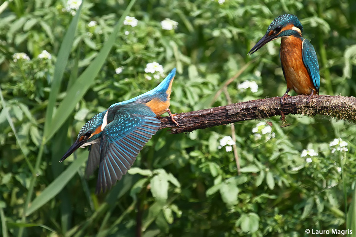 Go ahead then I will follow you