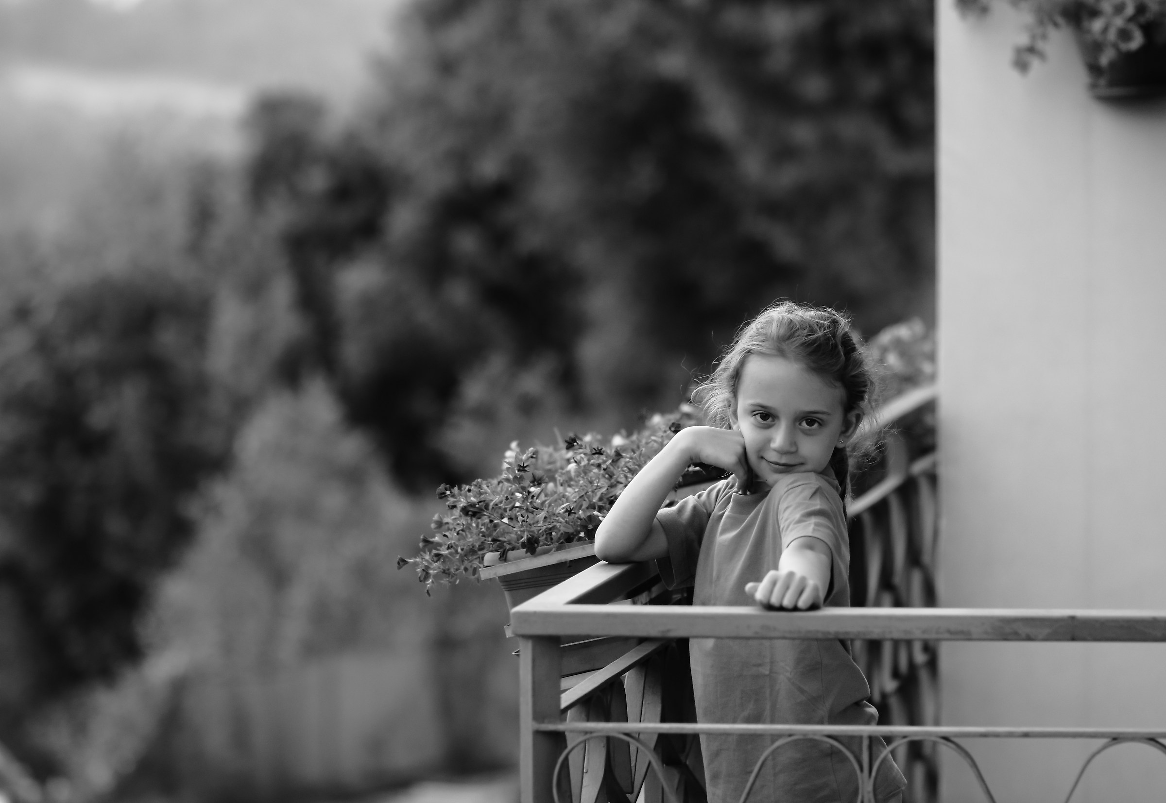 The terrace in front