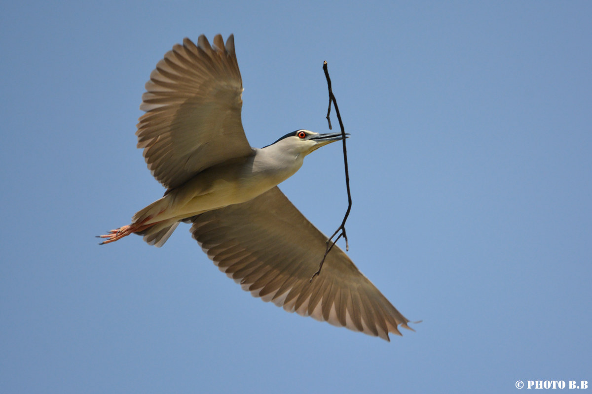 ... And with that we end the insole.