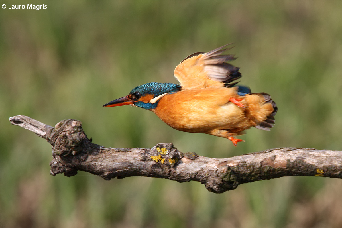 Test aerobatics: reversal at 45 ° to the right