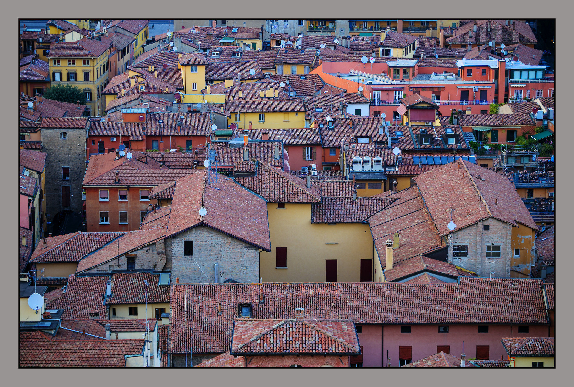The roofs of Bologna
