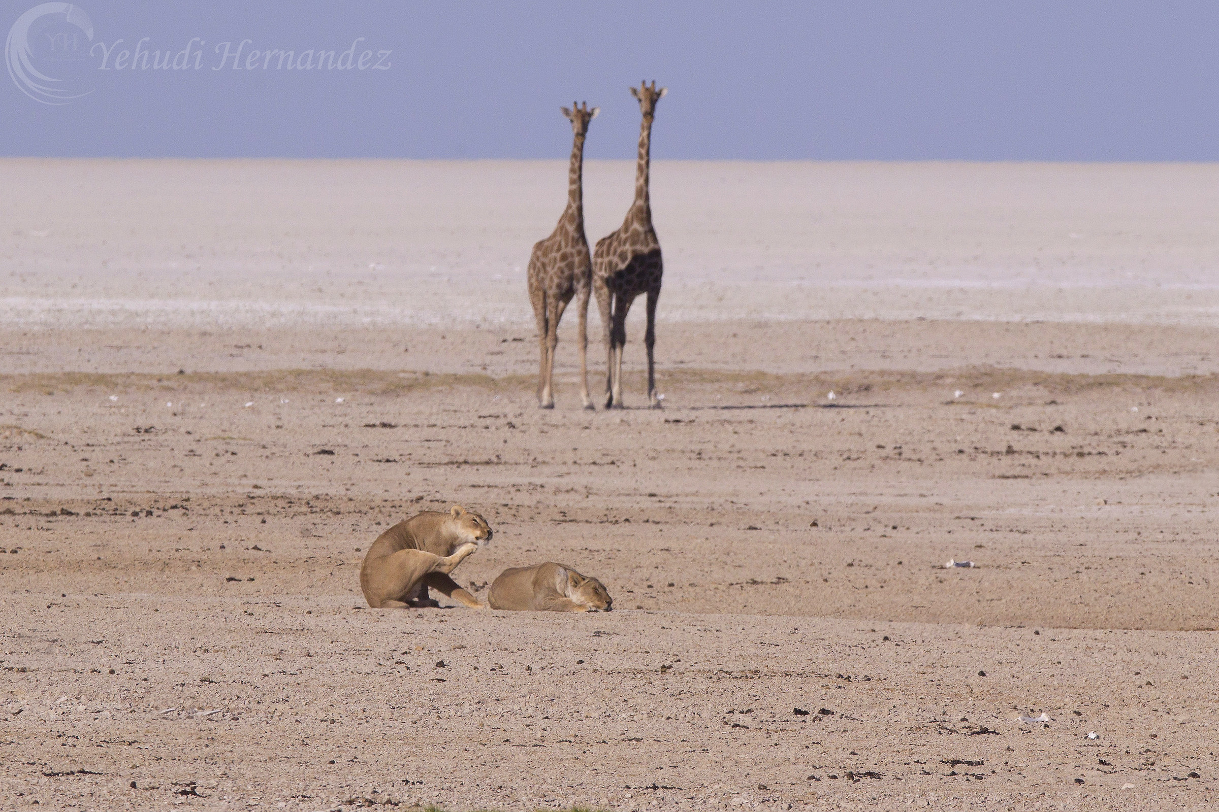 Non andare più vicino ...
