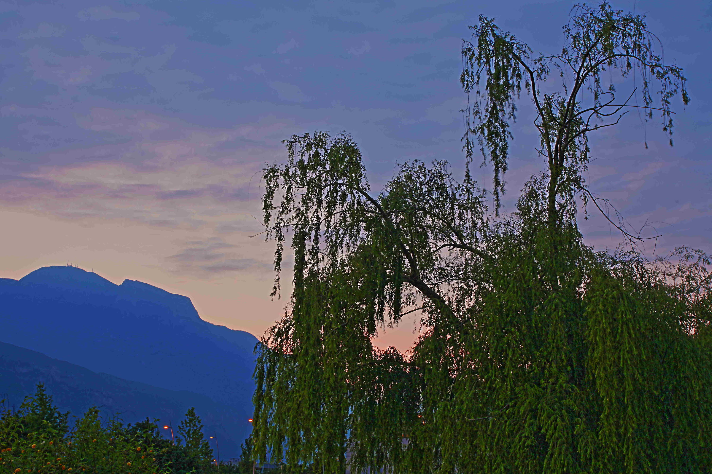 glimpse of the landscape facing the home