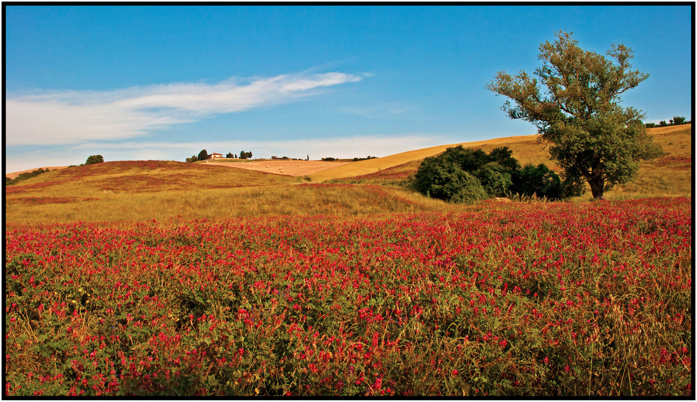 Fra Orciano e Santa Luce (pi)