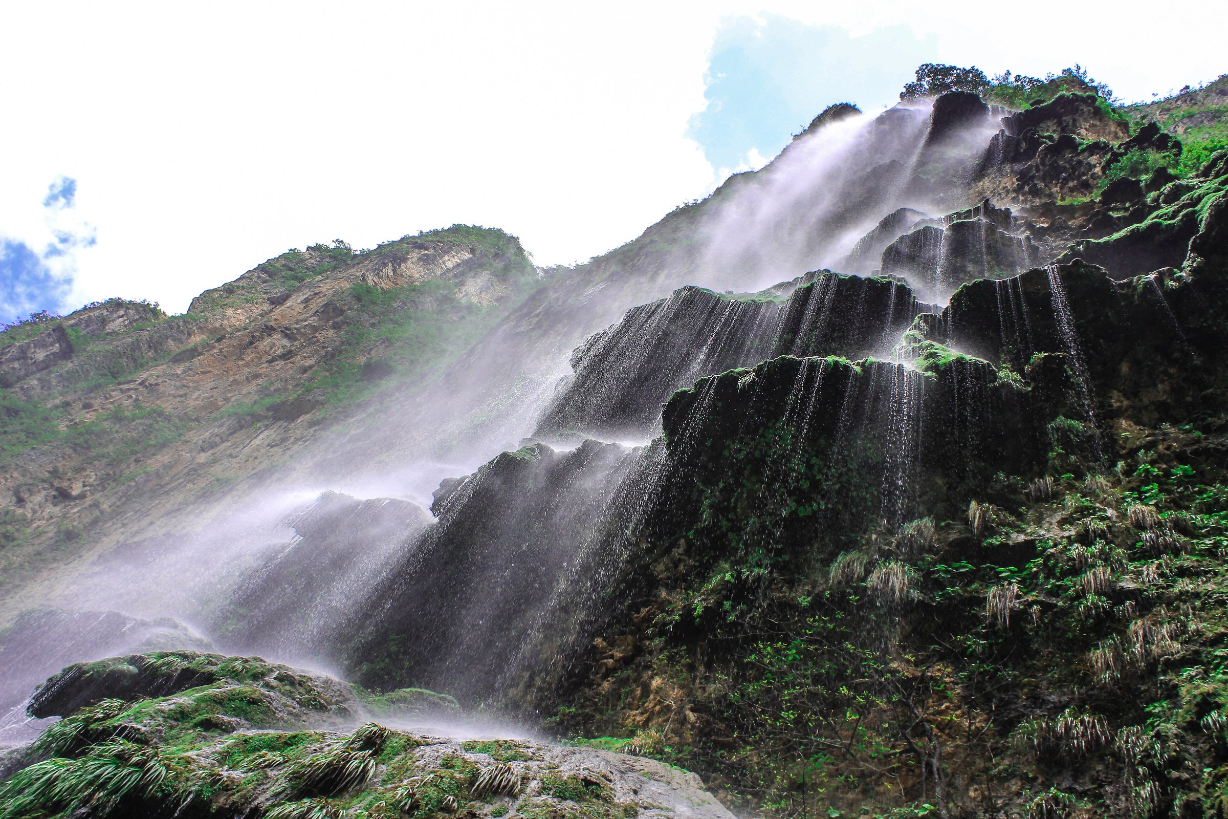 Sumidero Canyon Christmas tree