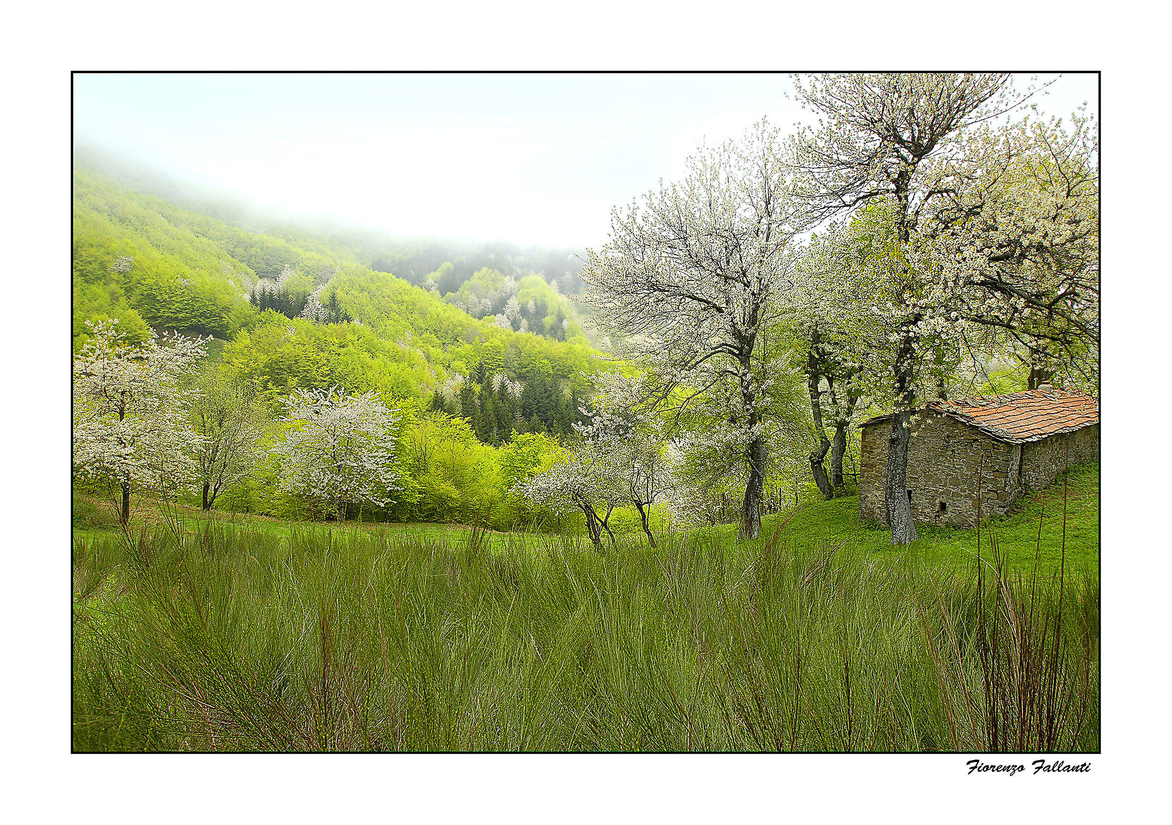 ... Spring in High Apennine