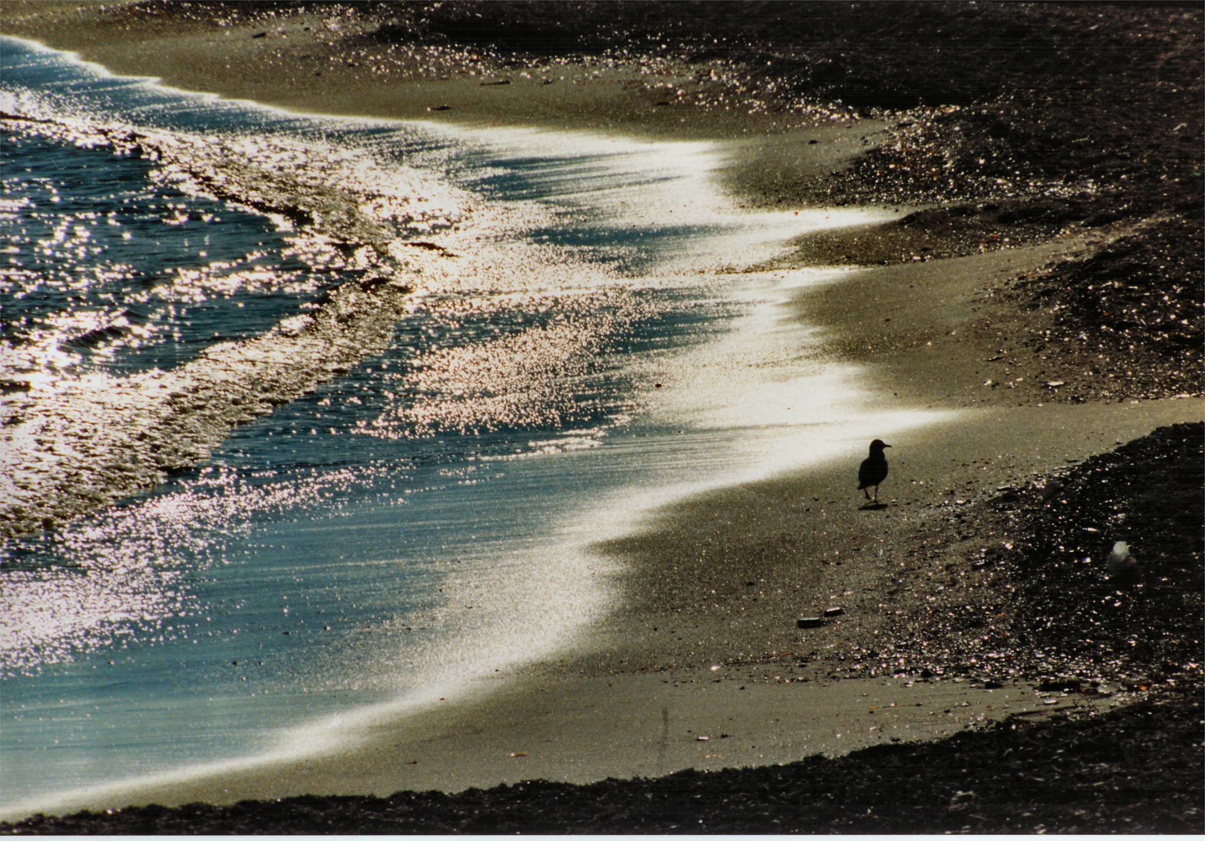 Tramonto in riva al mare